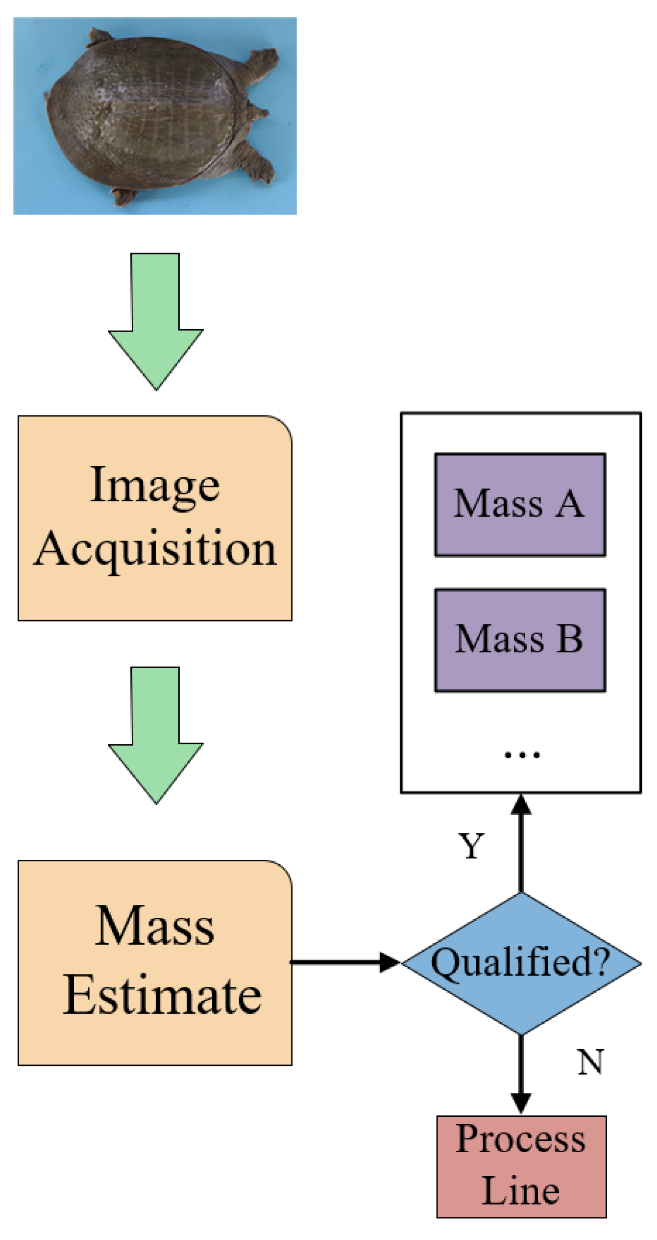 Animals 14 01368 g002 Animals 14 01368 g002