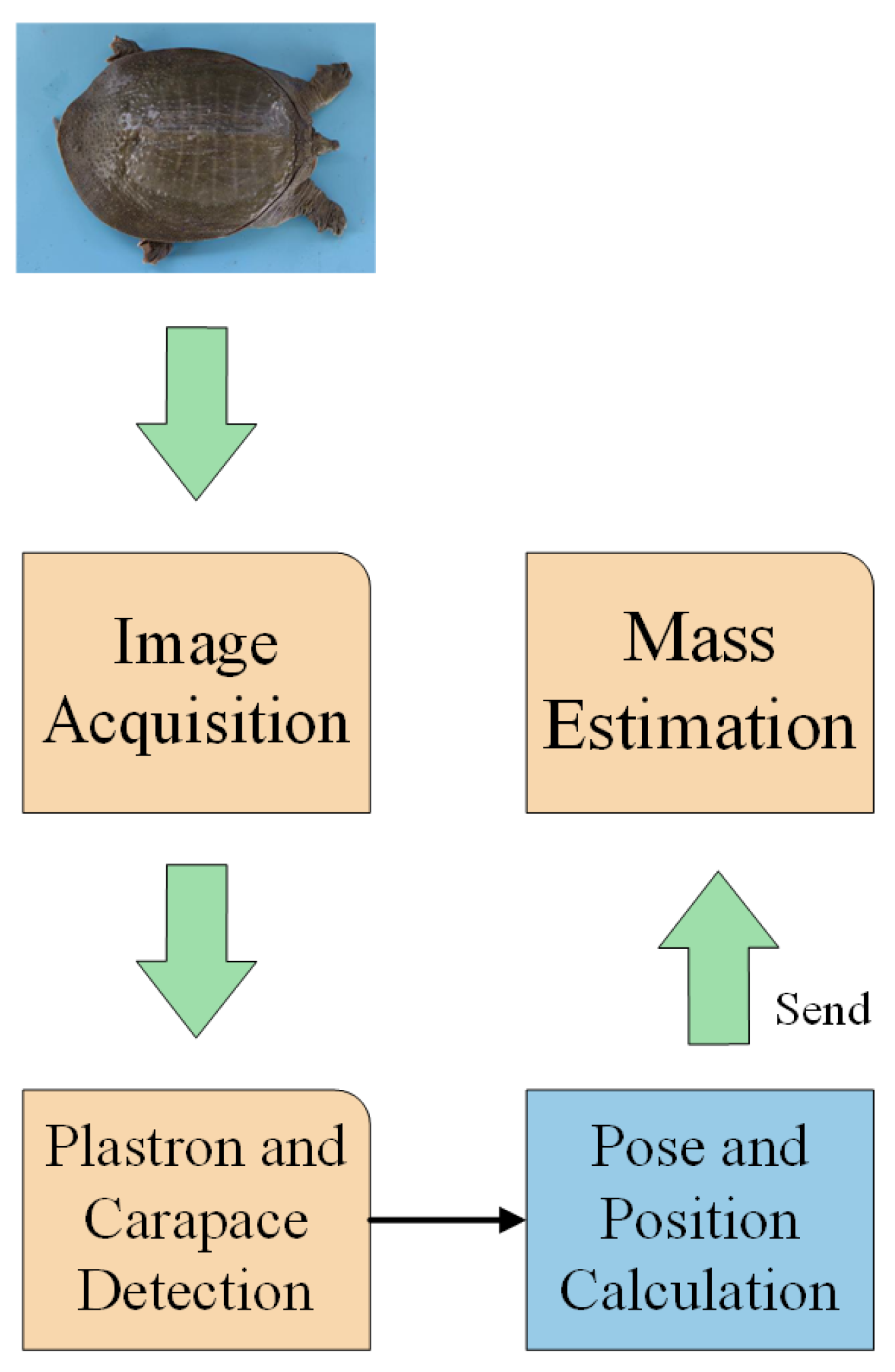 Animals 14 01368 g003 Animals 14 01368 g003