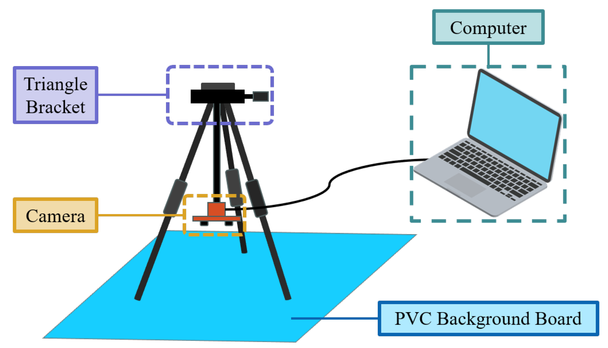 Animals 14 01368 g004 Animals 14 01368 g004