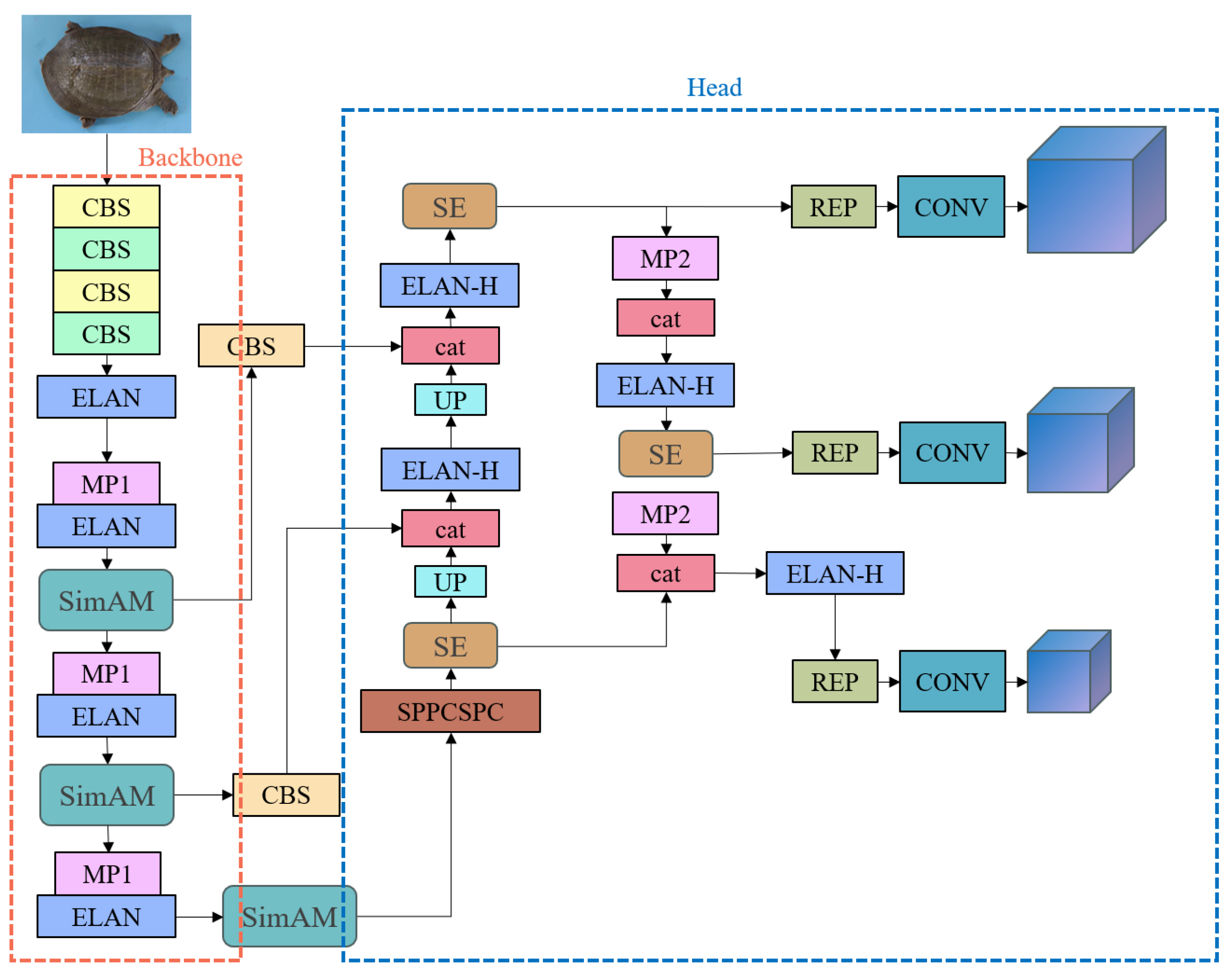 Animals 14 01368 g009 Animals 14 01368 g009