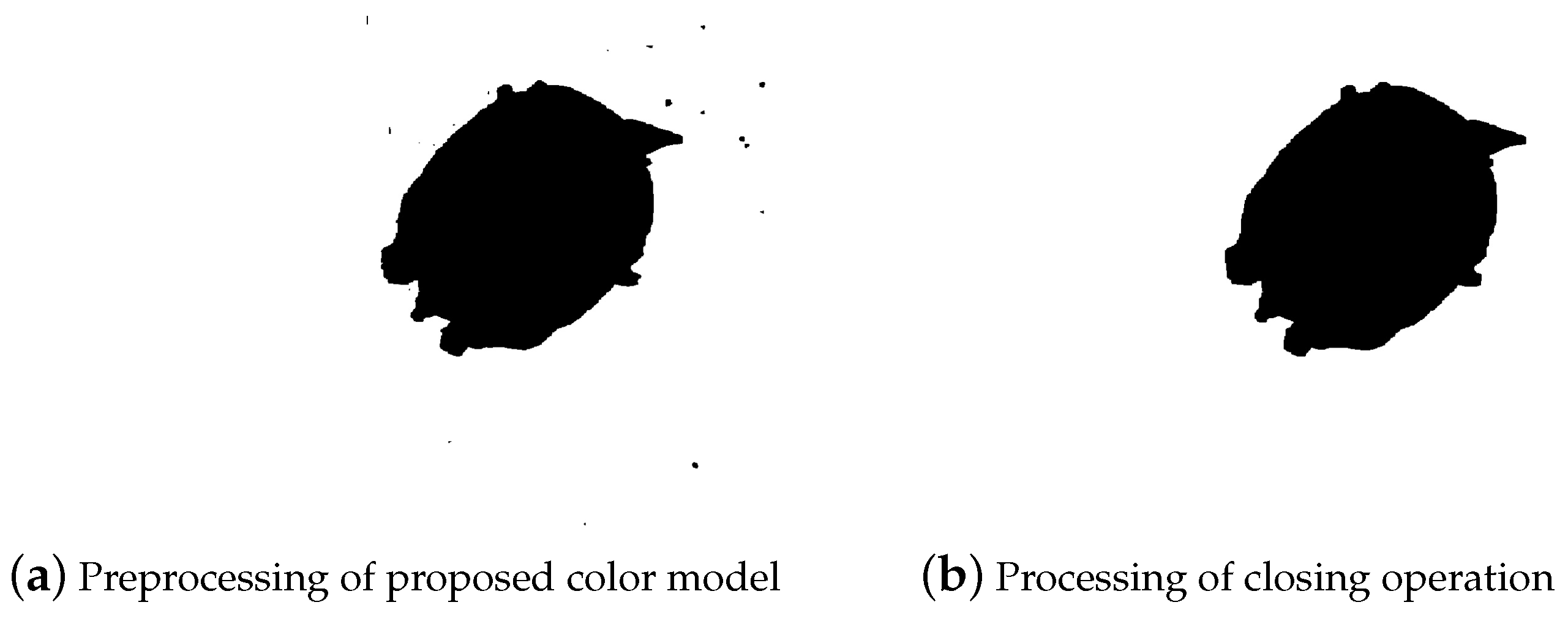 Animals 14 01368 g010 Animals 14 01368 g010