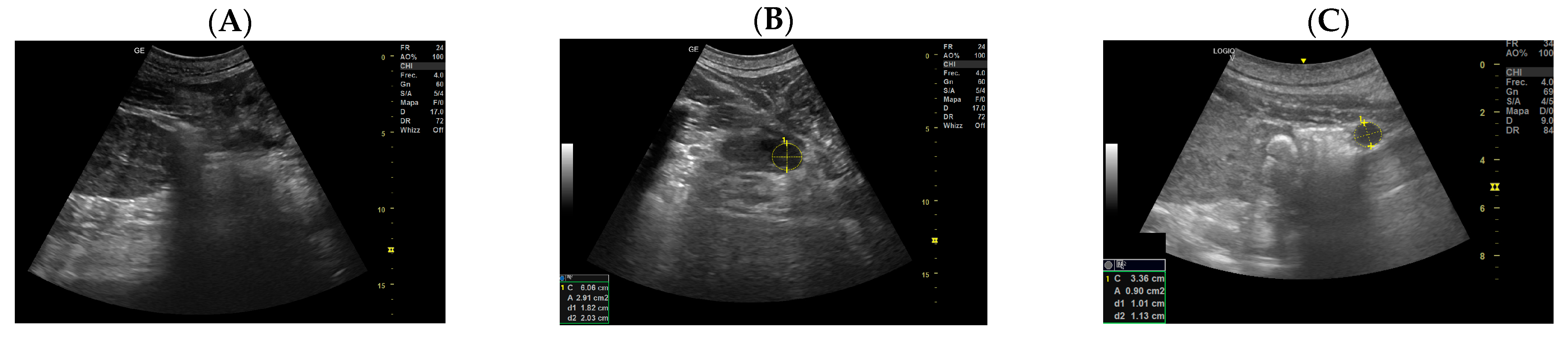 Animals 14 01384 g001