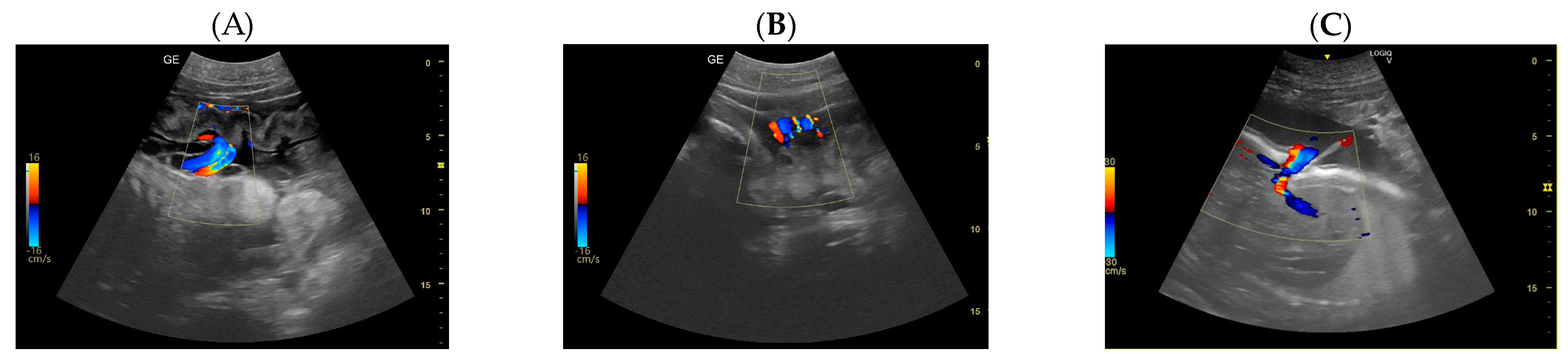 Animals 14 01384 g005