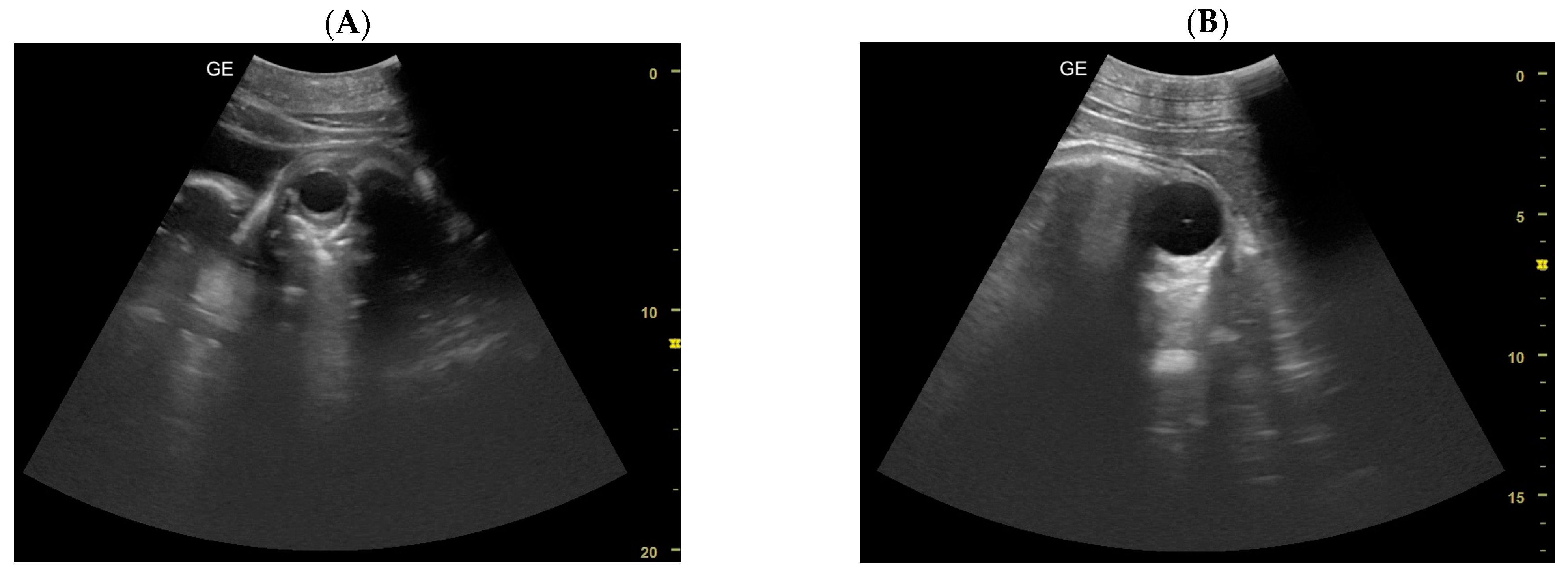 Animals 14 01384 g006