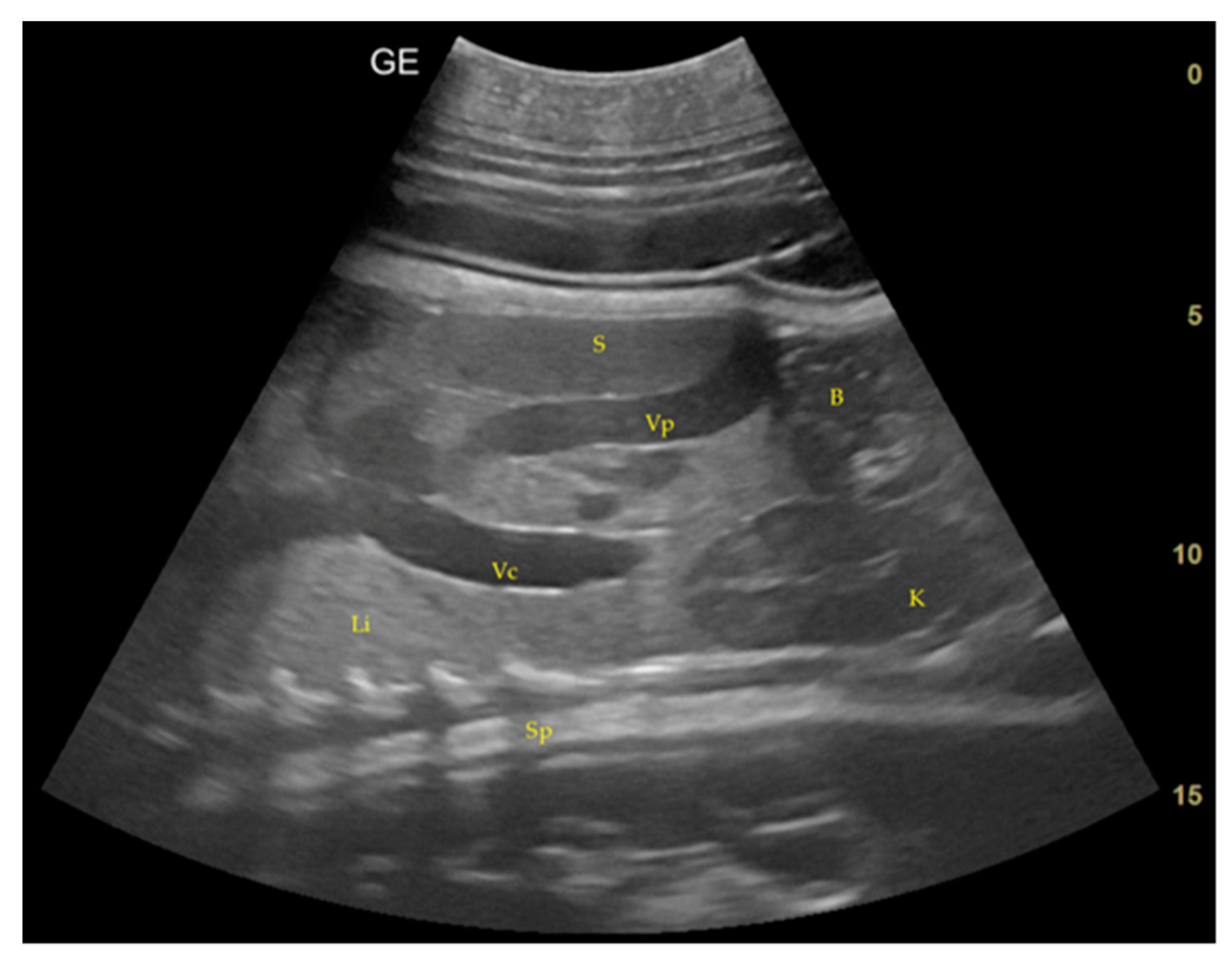 Animals 14 01384 g007