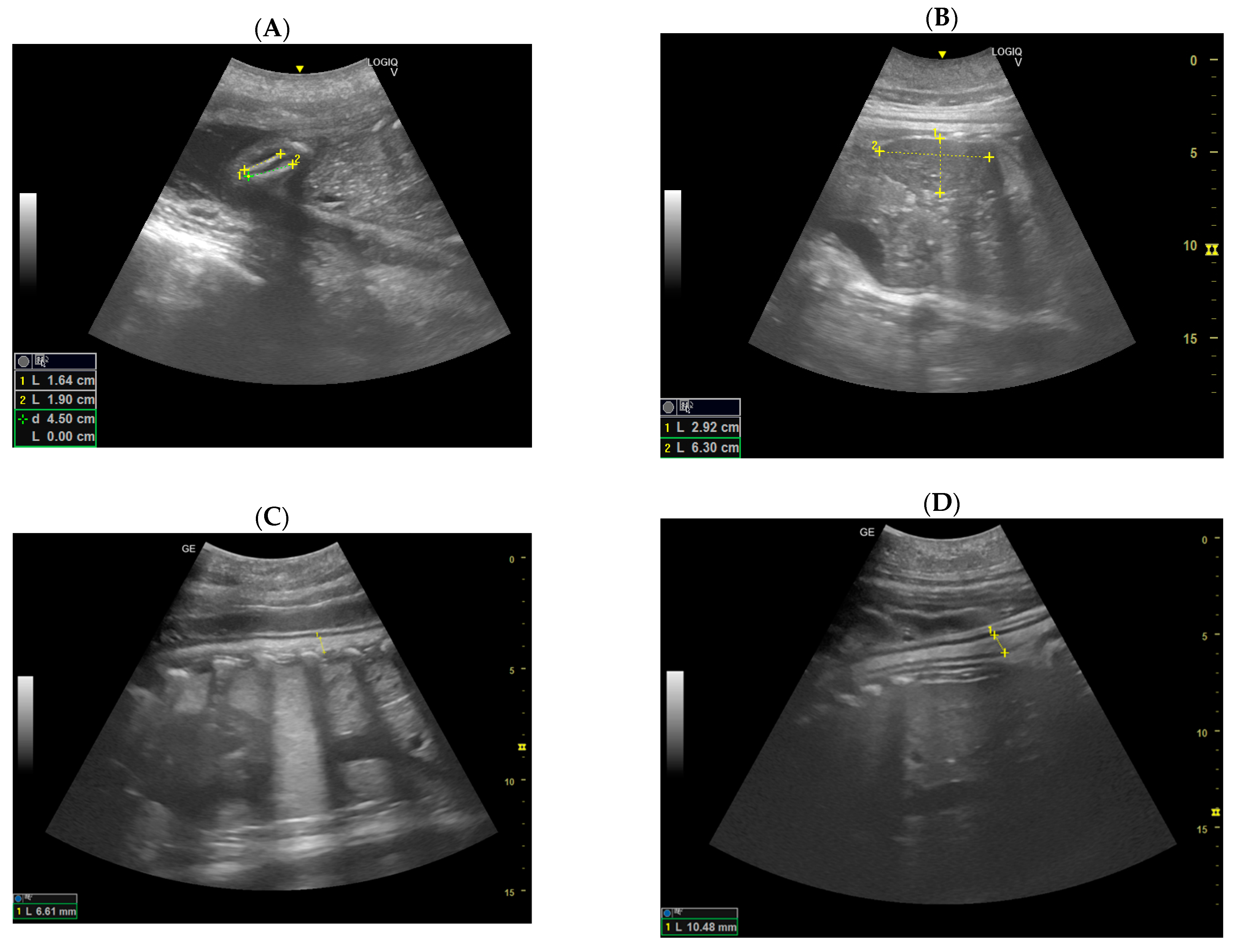 Animals 14 01384 g008