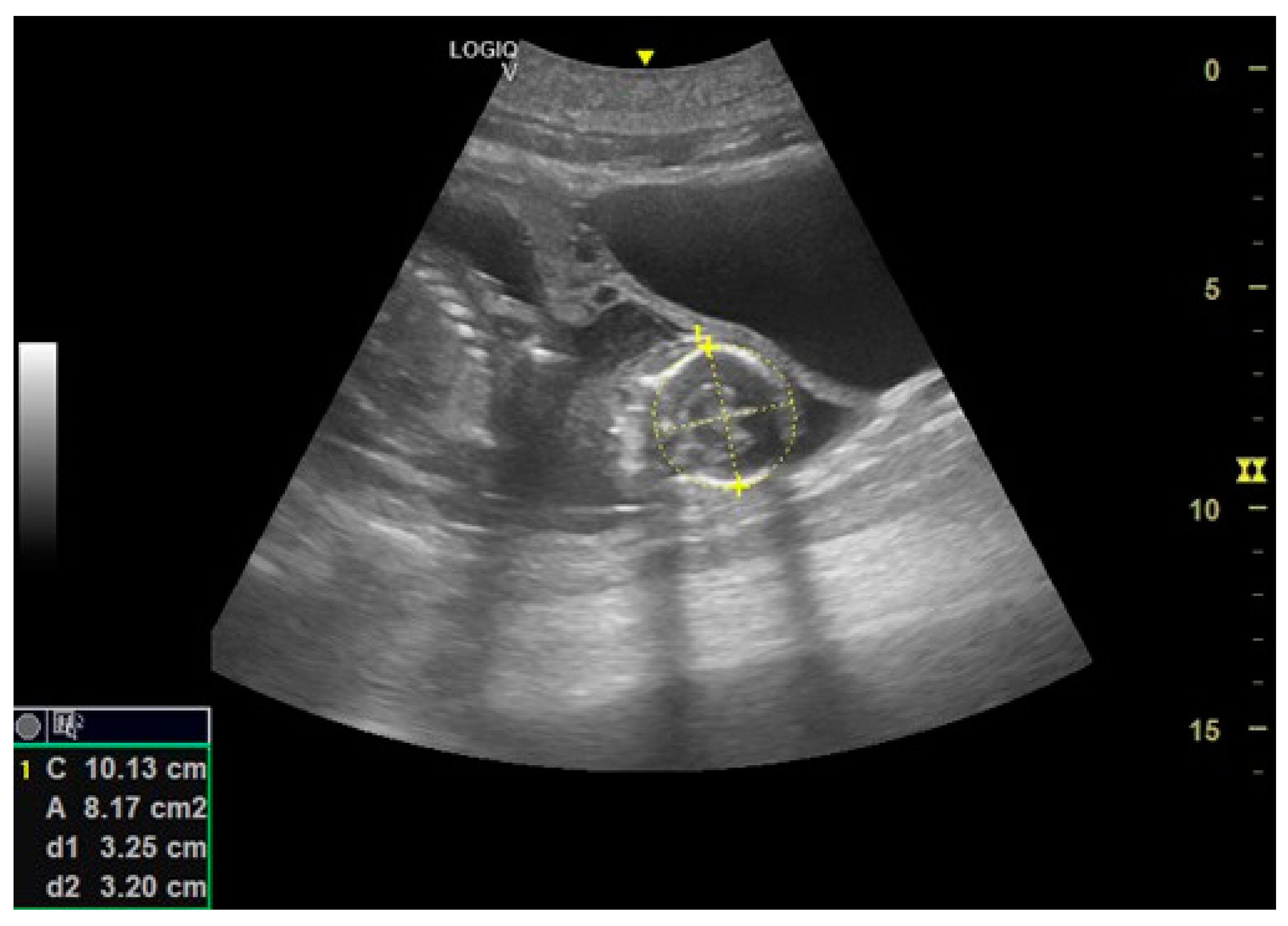 Animals 14 01384 g009