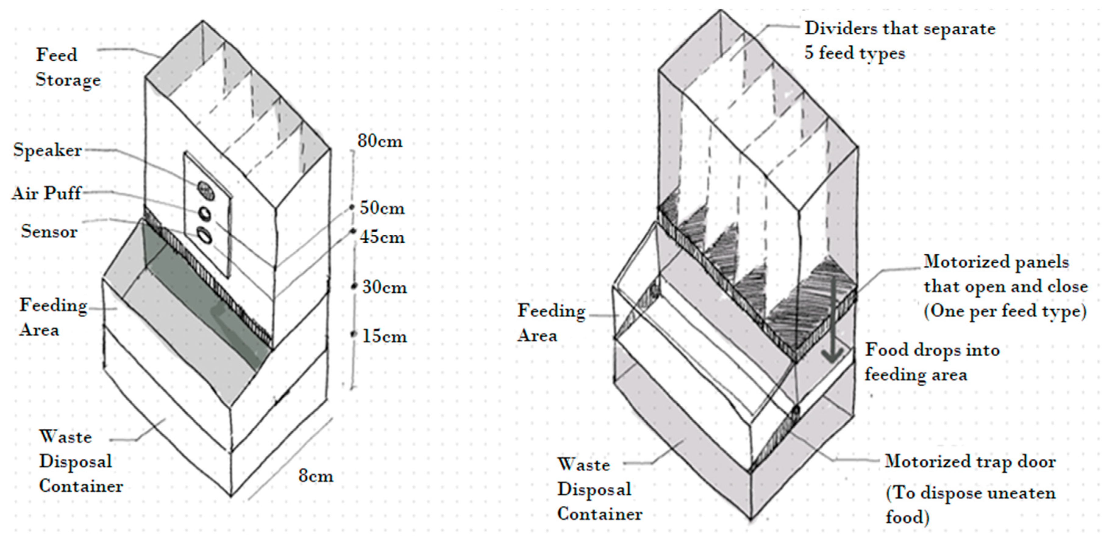 Animals 14 01386 g001