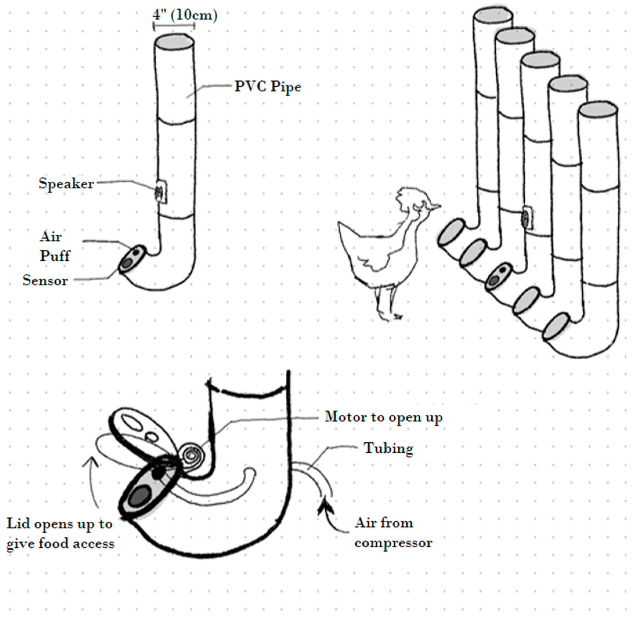 Animals 14 01386 g002