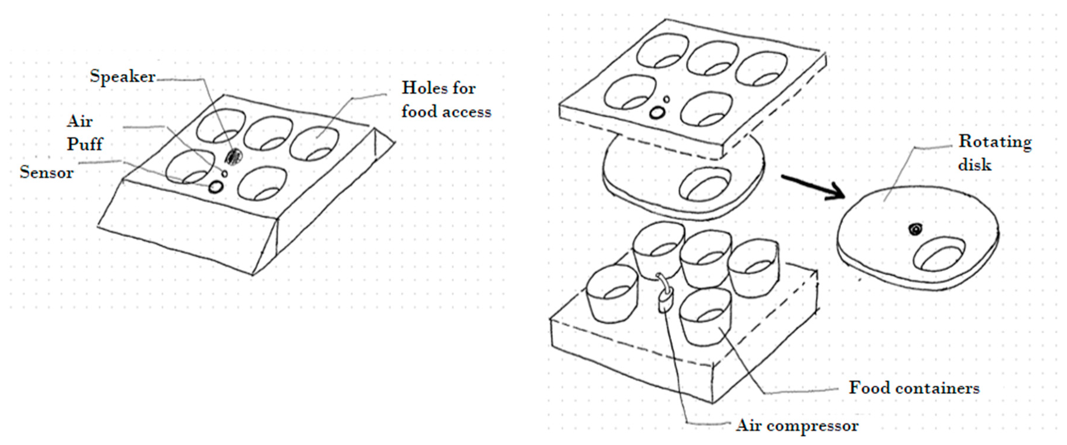 Animals 14 01386 g003
