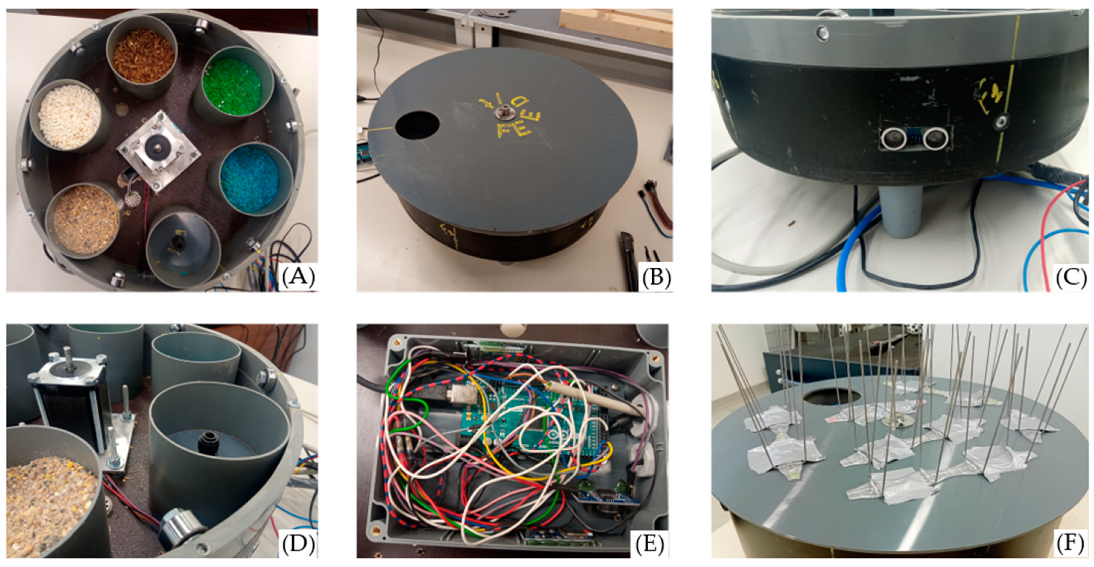 Animals 14 01386 g004