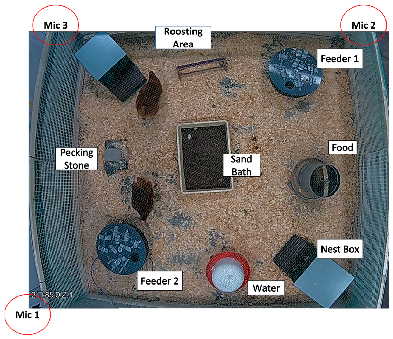 Animals 14 01386 g007