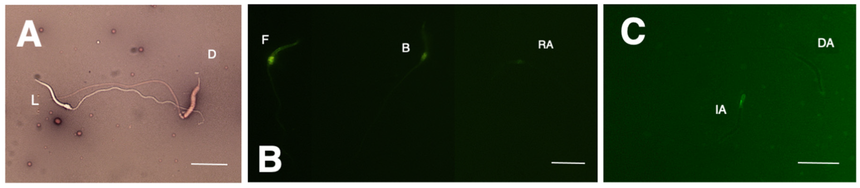 Animals 14 01388 g001 Animals 14 01388 g001