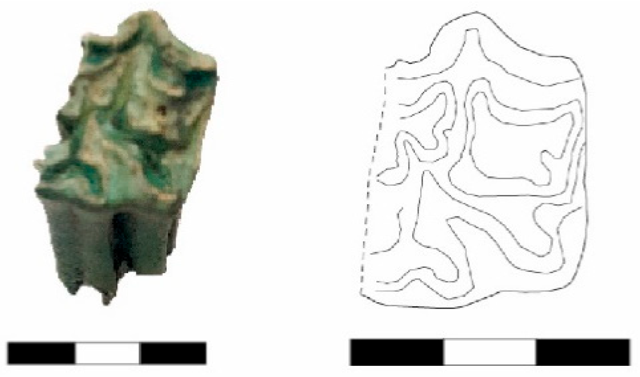 Animals 14 01397 g003