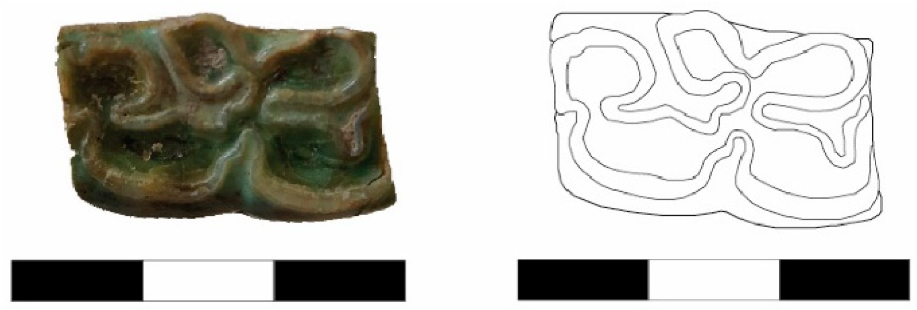 Animals 14 01397 g005