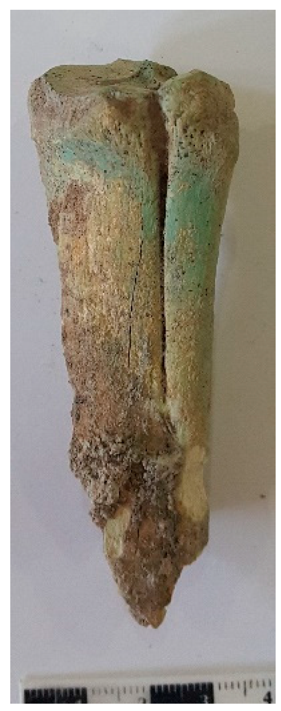 Animals 14 01397 g007