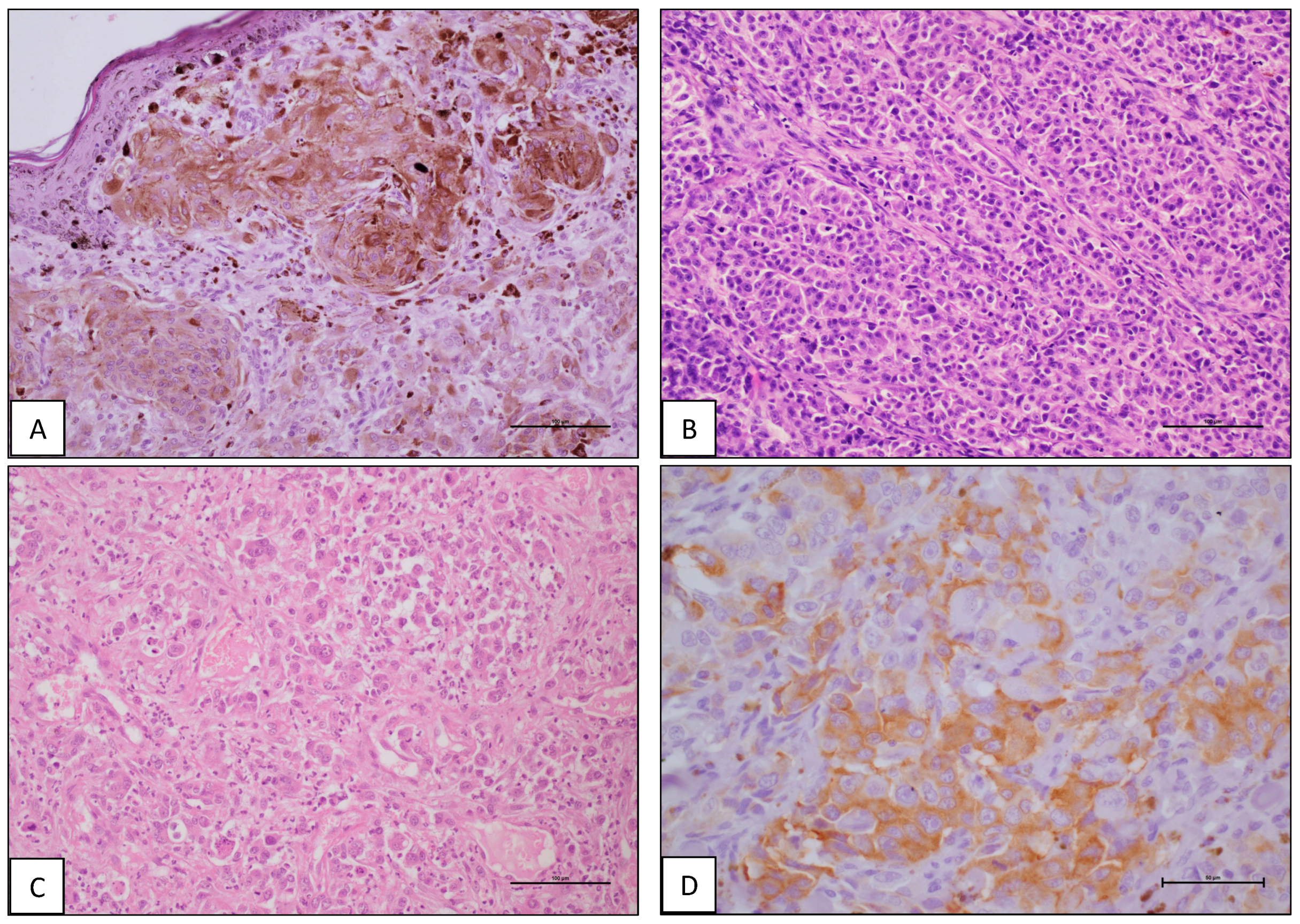 Animals 14 01400 g001