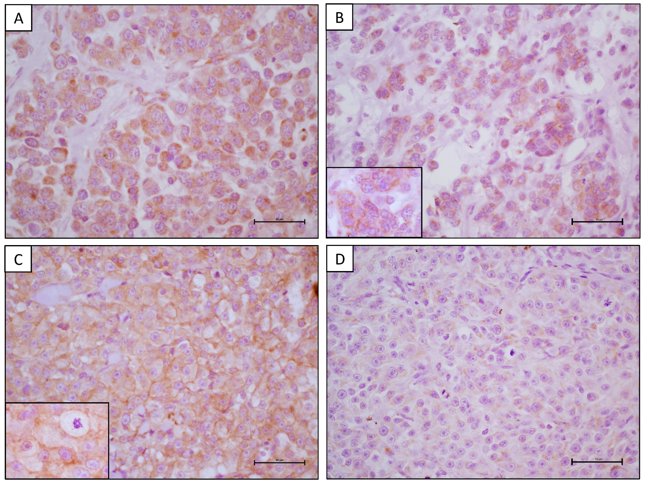 Animals 14 01400 g002