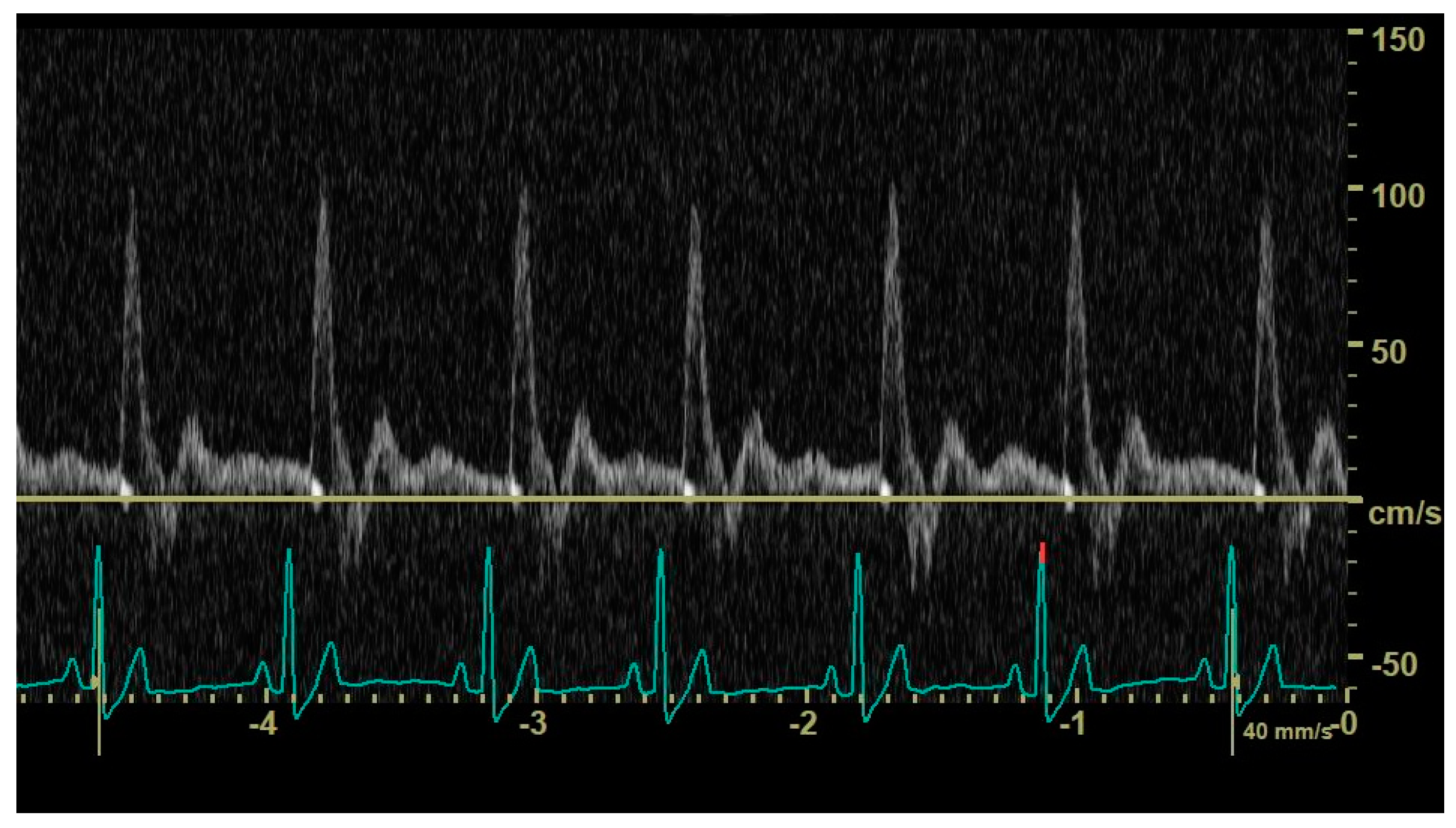 Animals 14 01404 g001