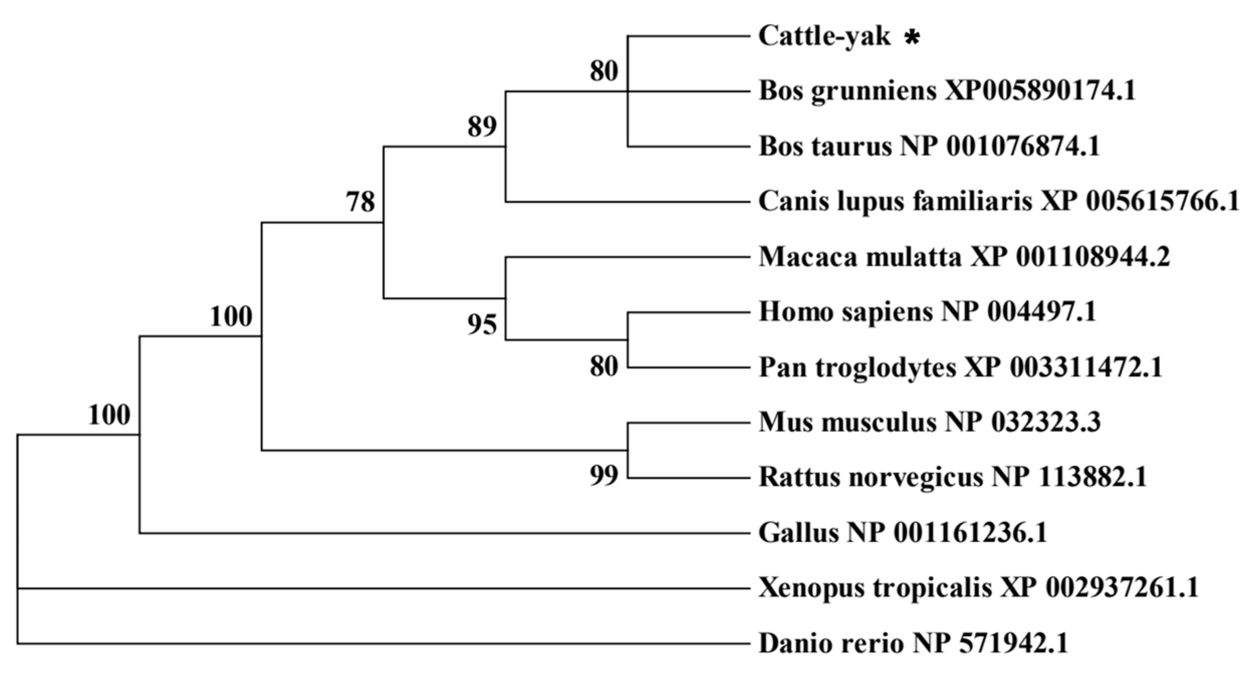 Animals 14 01410 g002