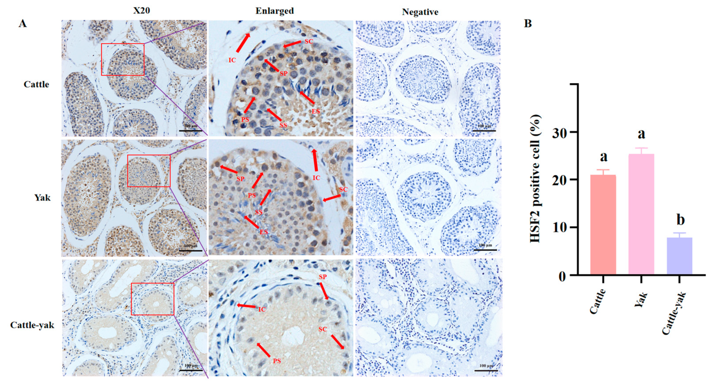 Animals 14 01410 g006