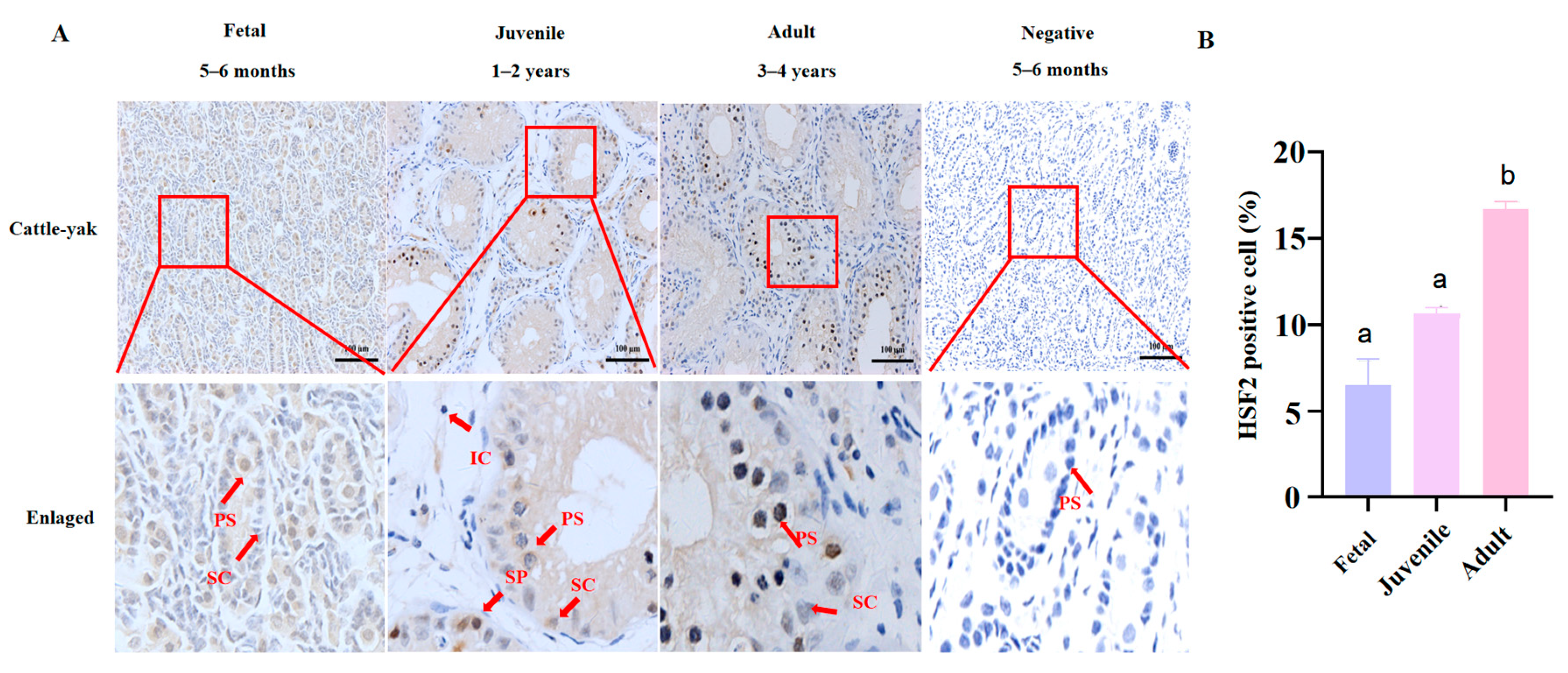 Animals 14 01410 g007