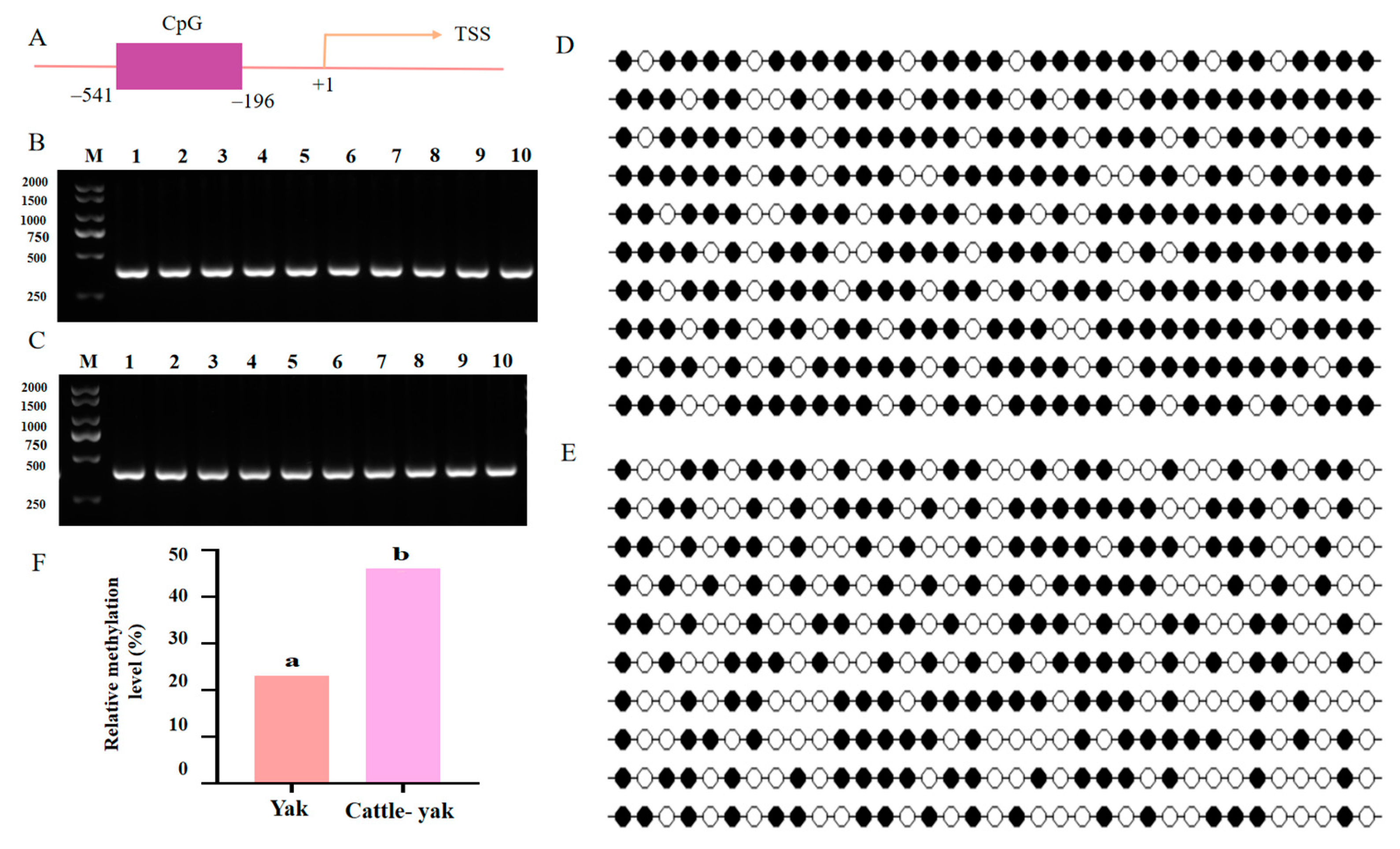Animals 14 01410 g008