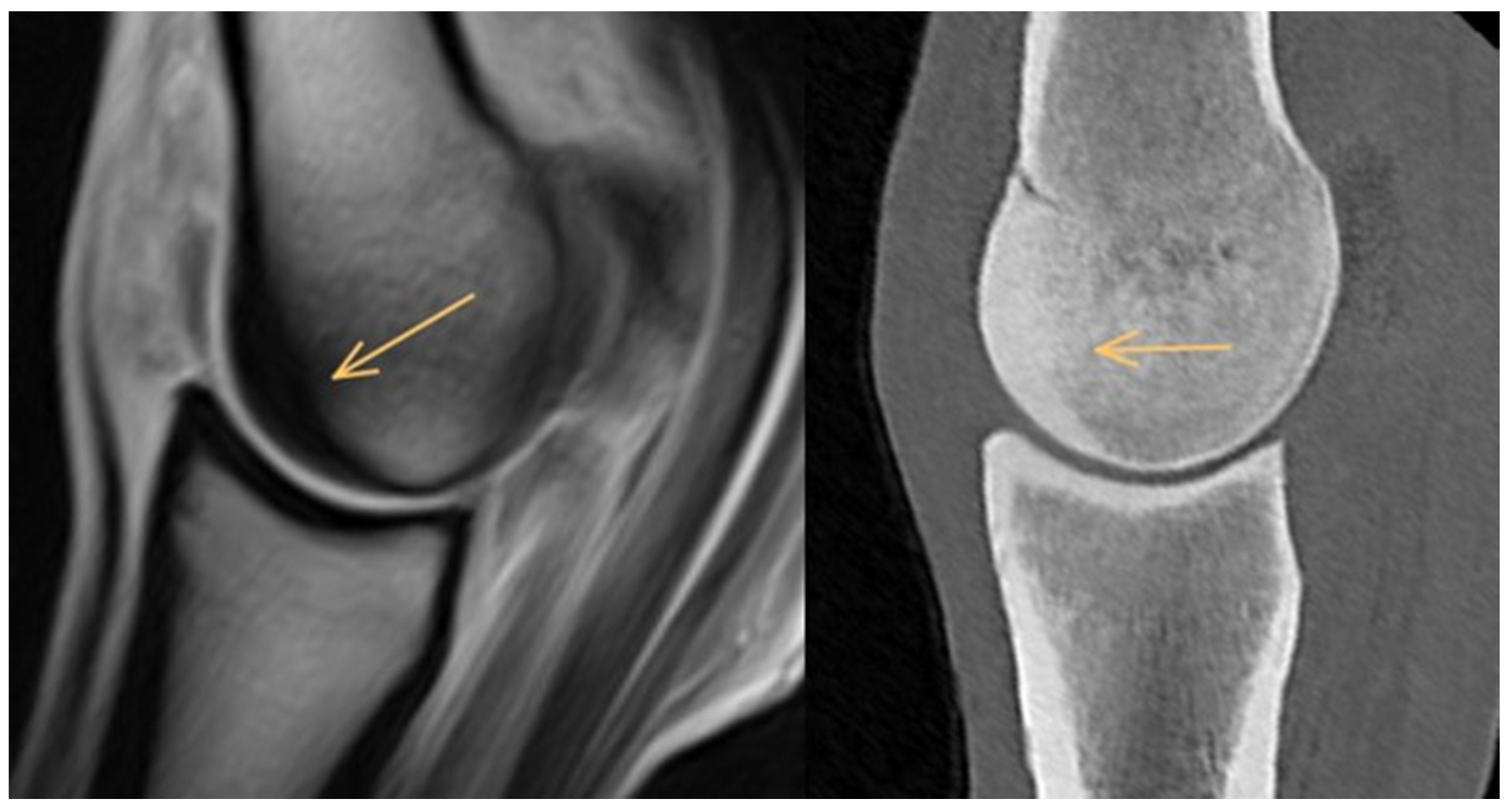 Animals 14 01417 g001