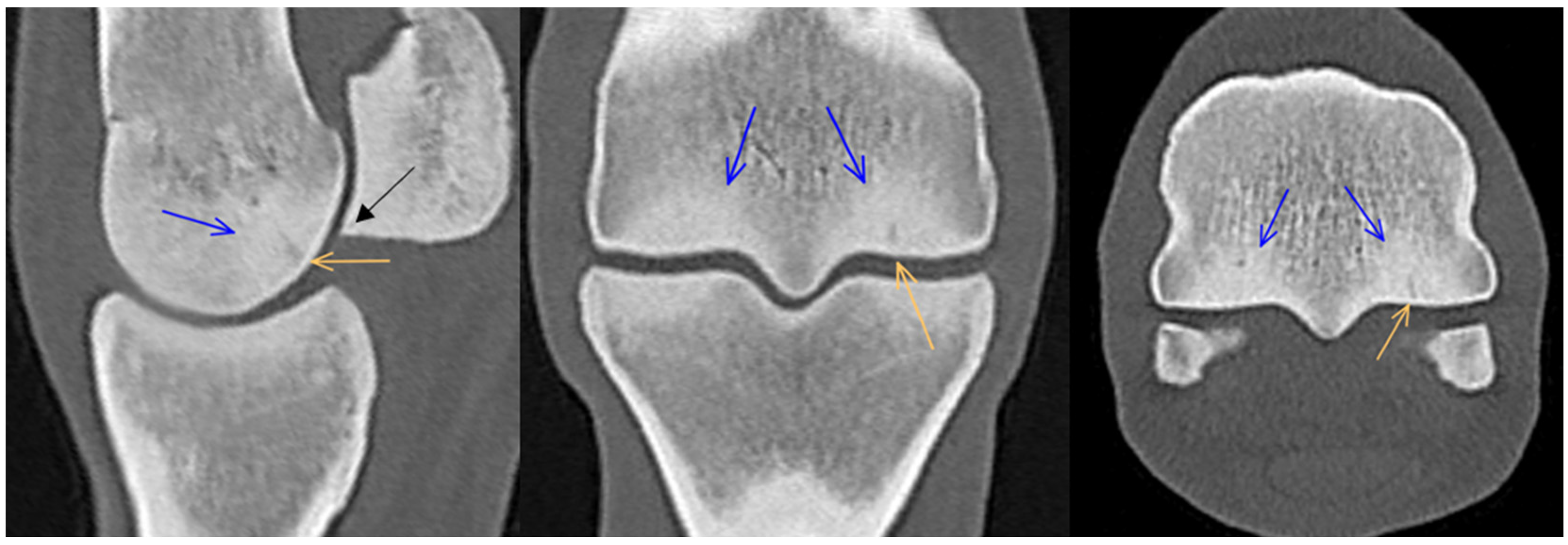 Animals 14 01417 g005