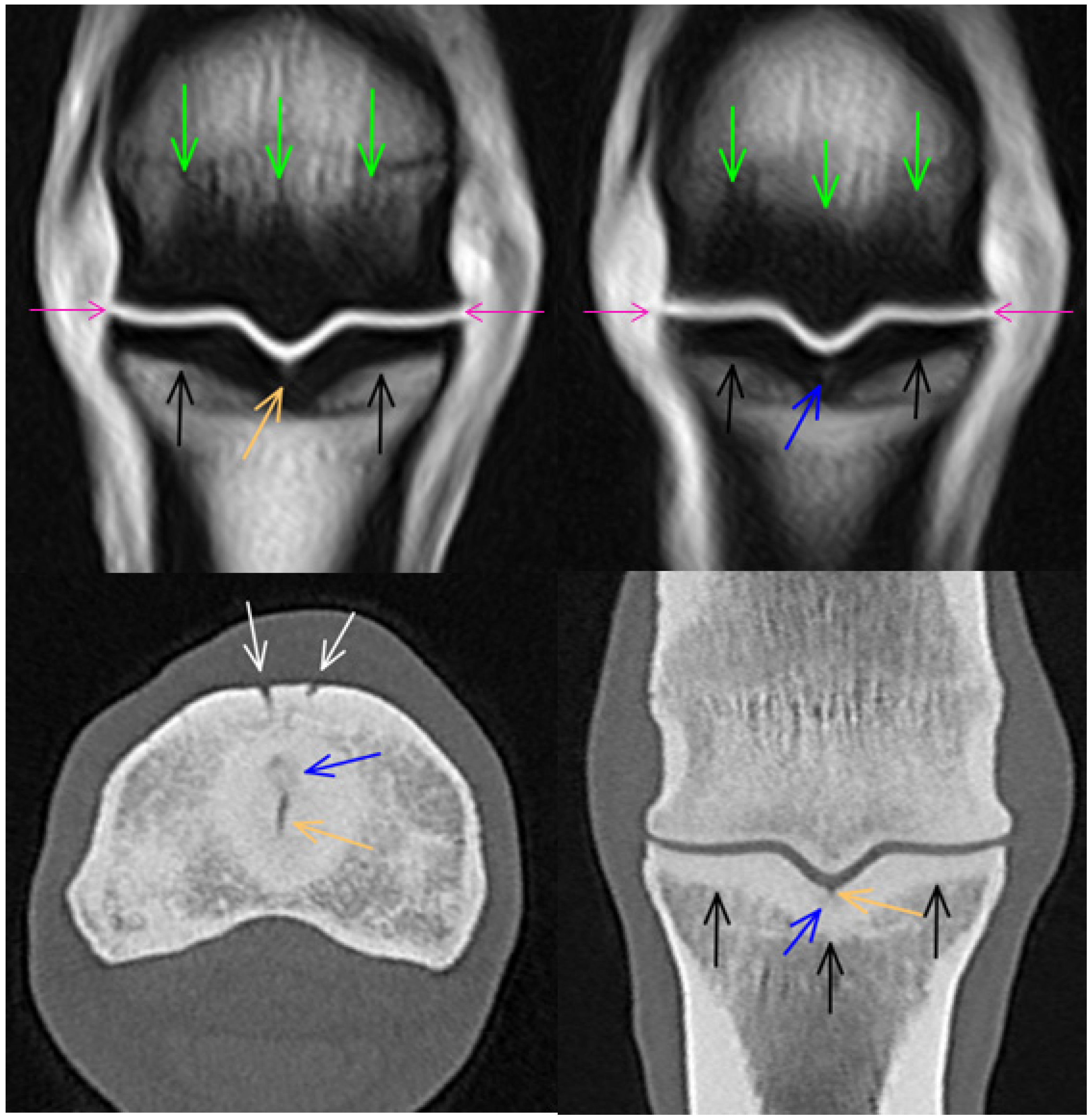 Animals 14 01417 g006