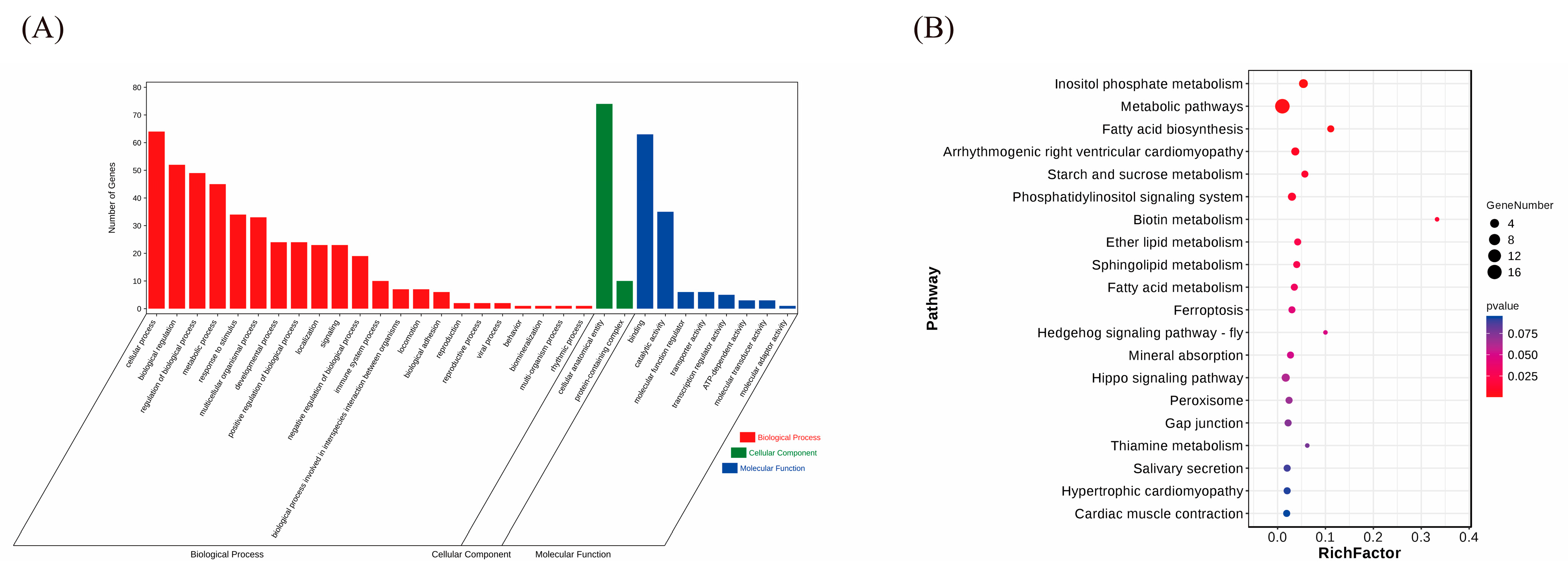 Animals 14 01419 g005
