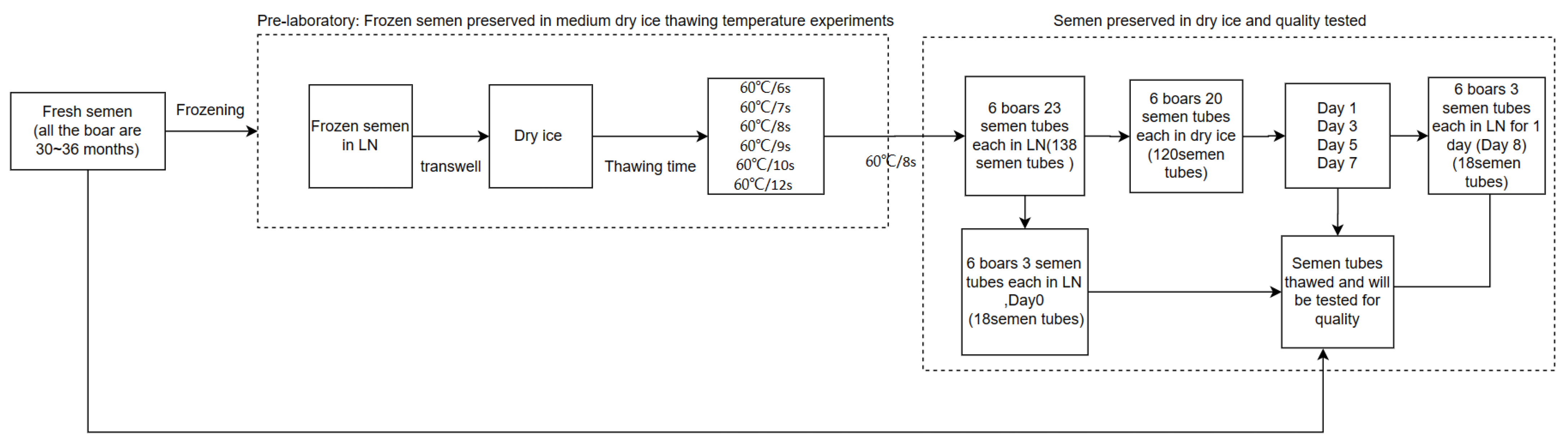 Animals 14 01422 g001