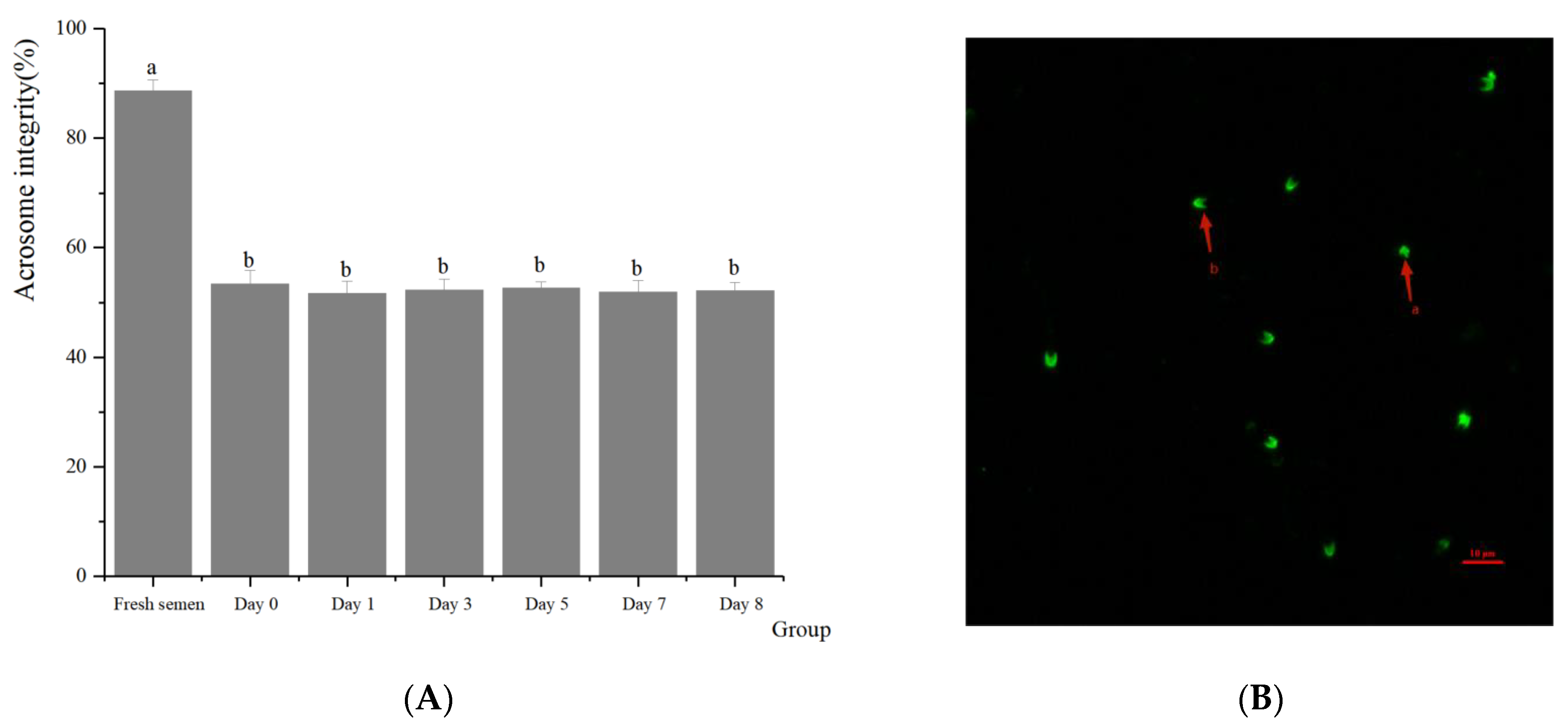 Animals 14 01422 g002