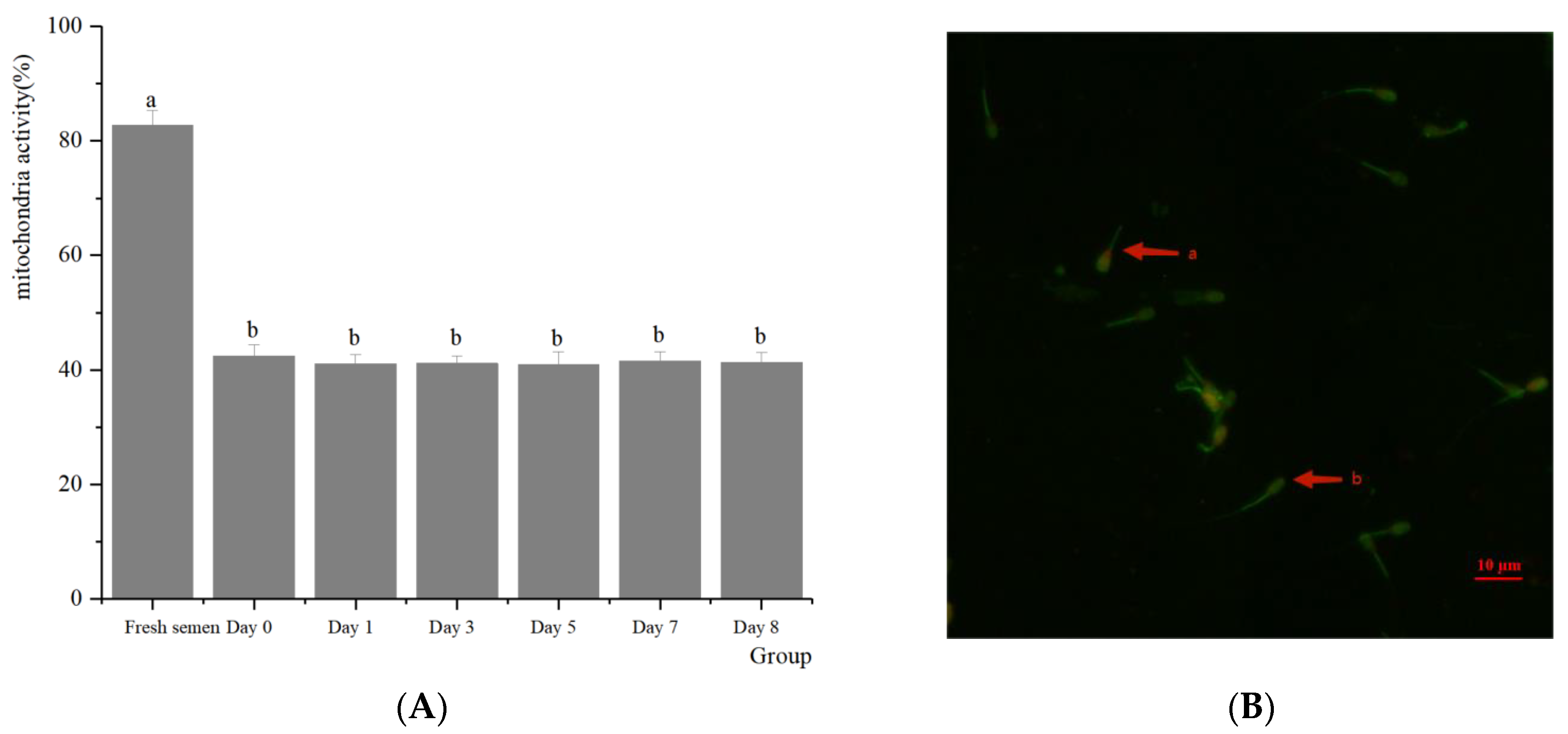 Animals 14 01422 g004