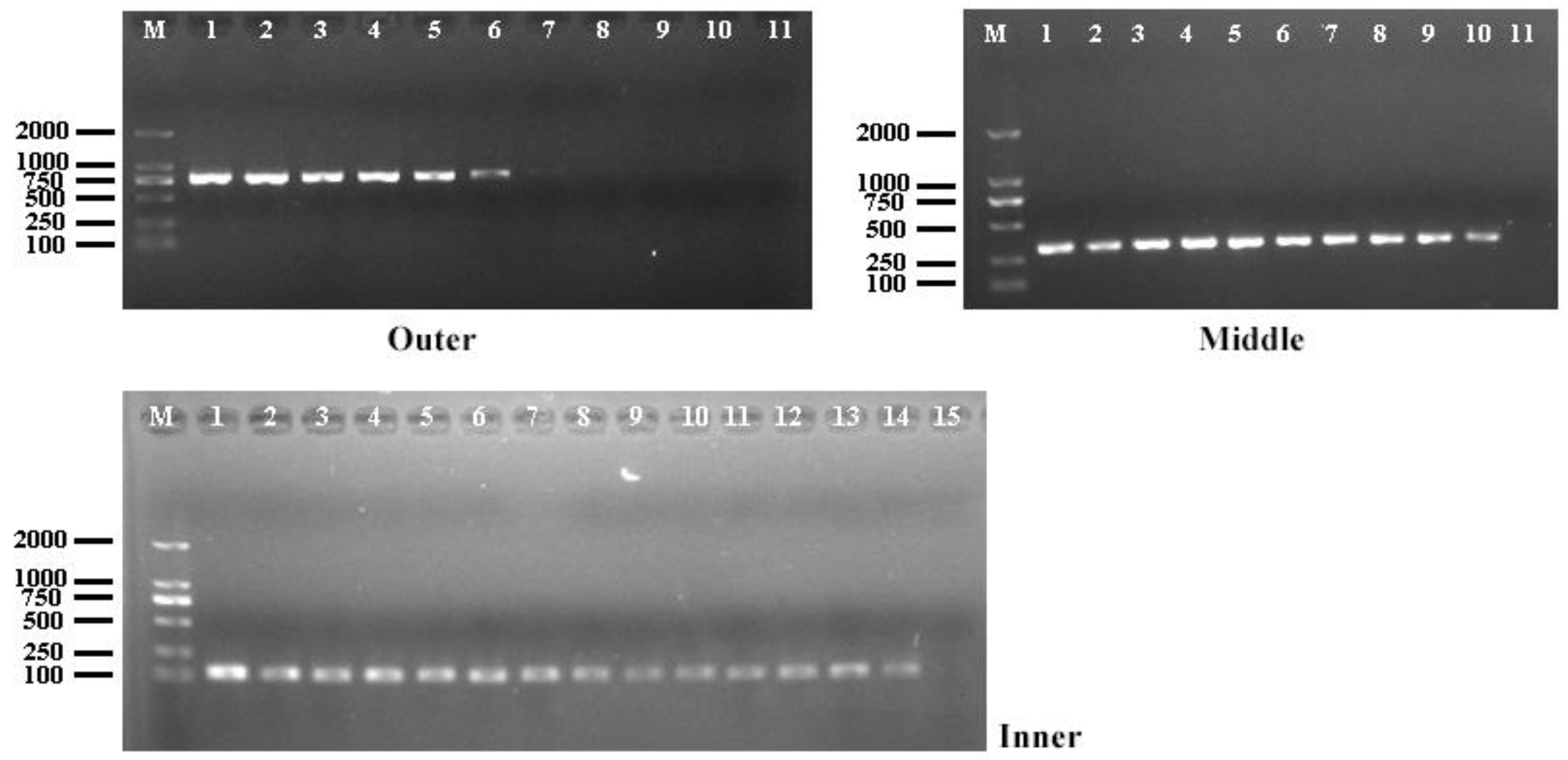 Animals 14 01427 g003