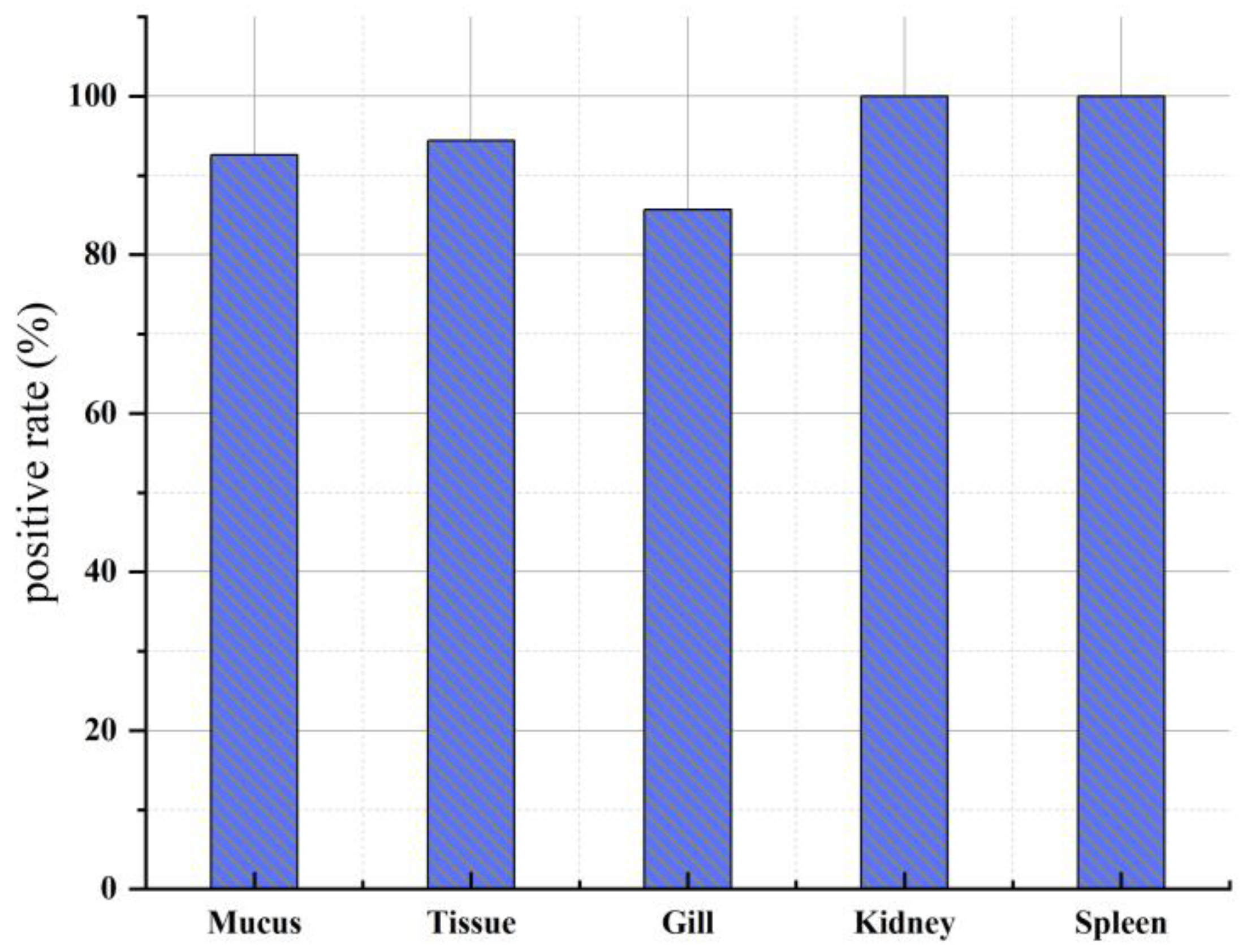 Animals 14 01427 g005