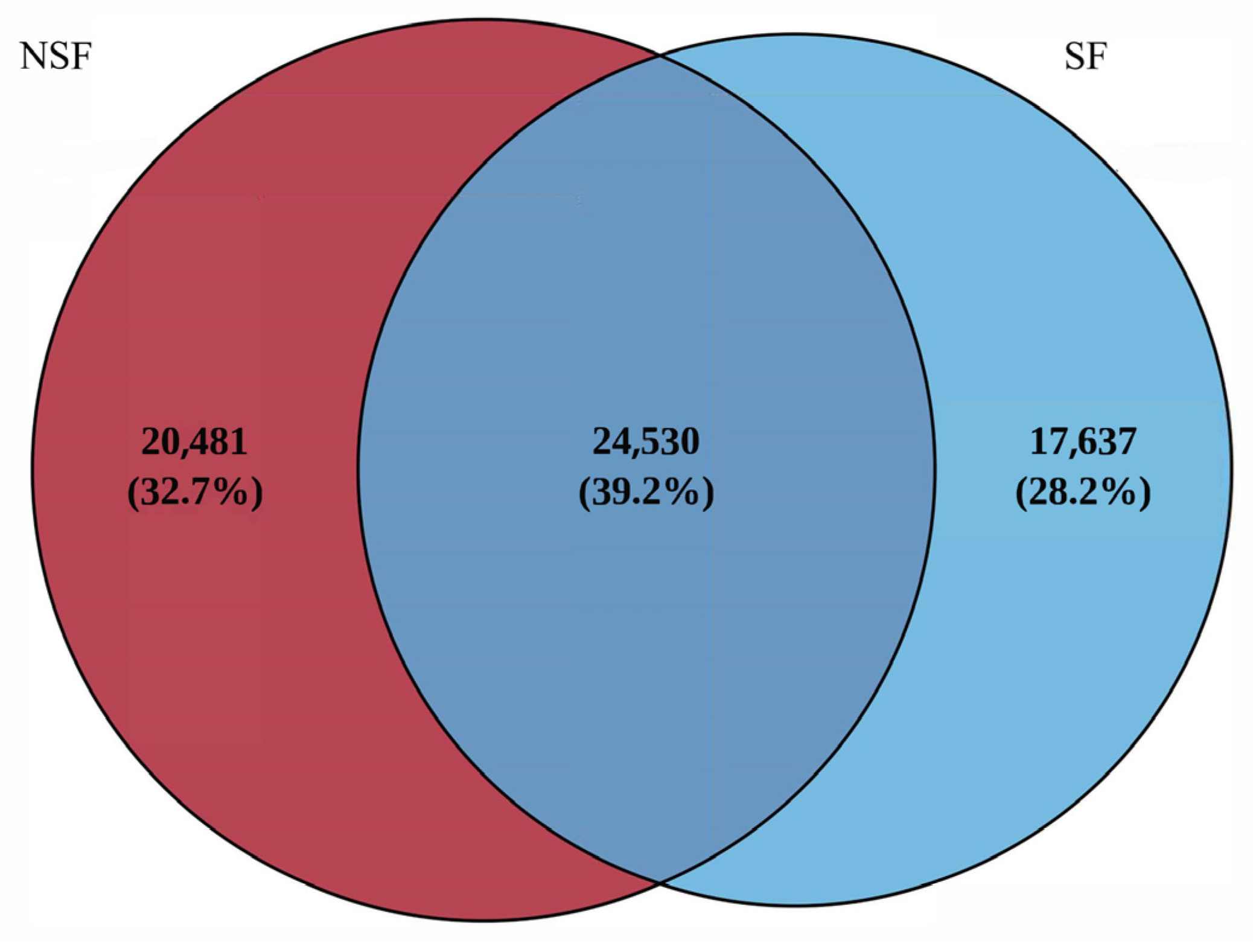 Animals 14 01428 g001