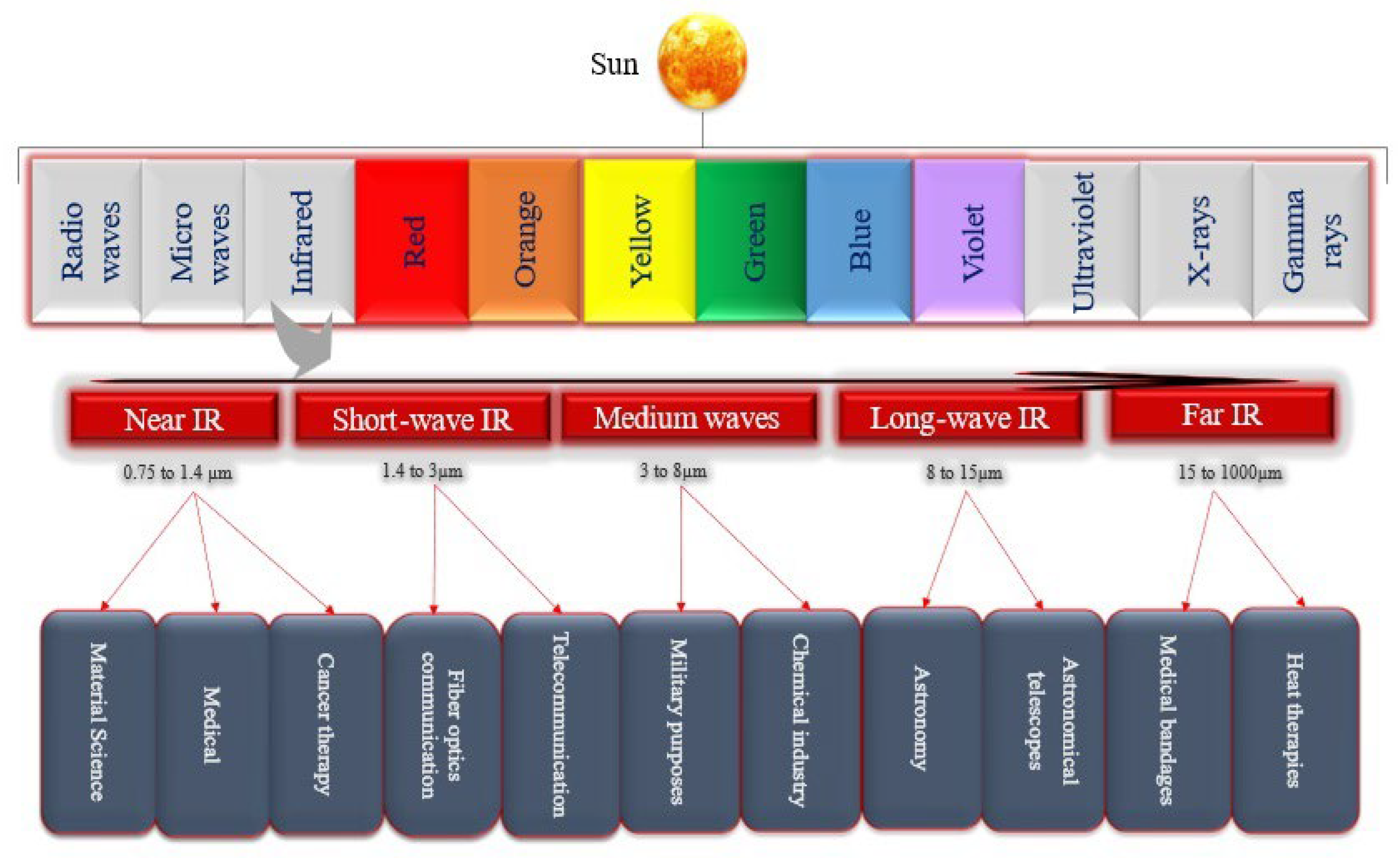 Animals 14 01431 g001 Animals 14 01431 g001