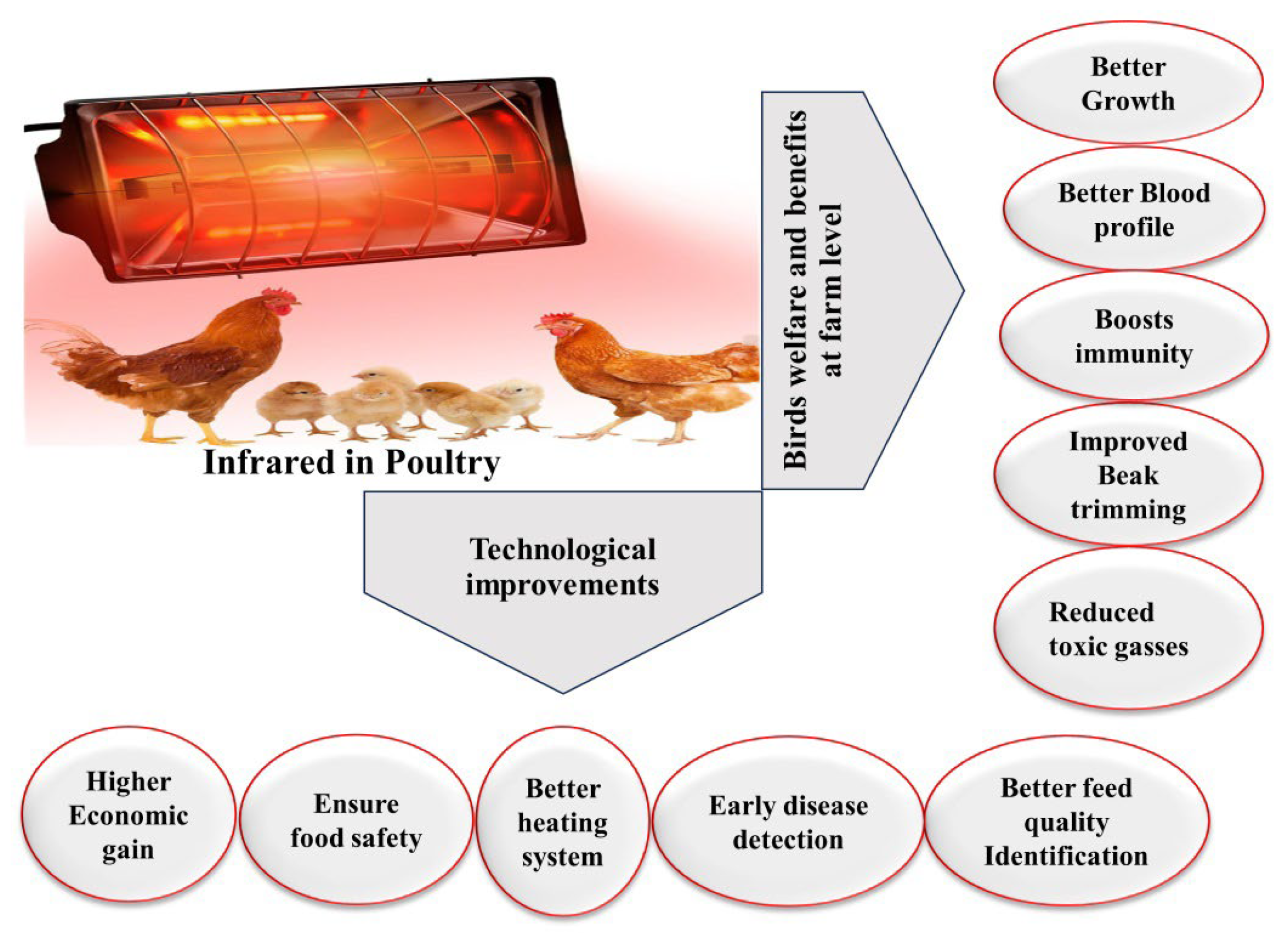 Animals 14 01431 g003 Animals 14 01431 g003