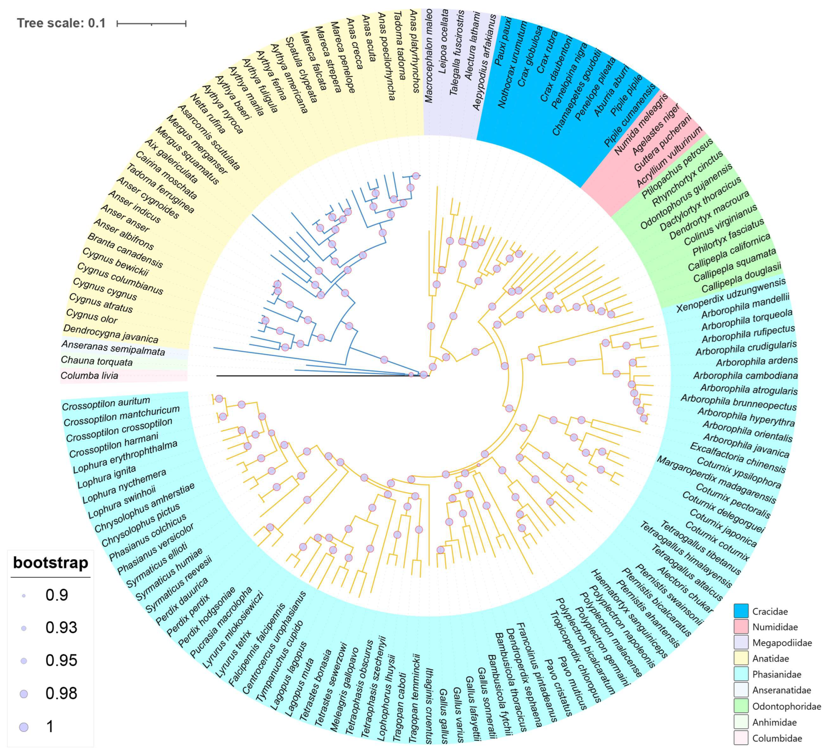 Animals 14 01437 g003