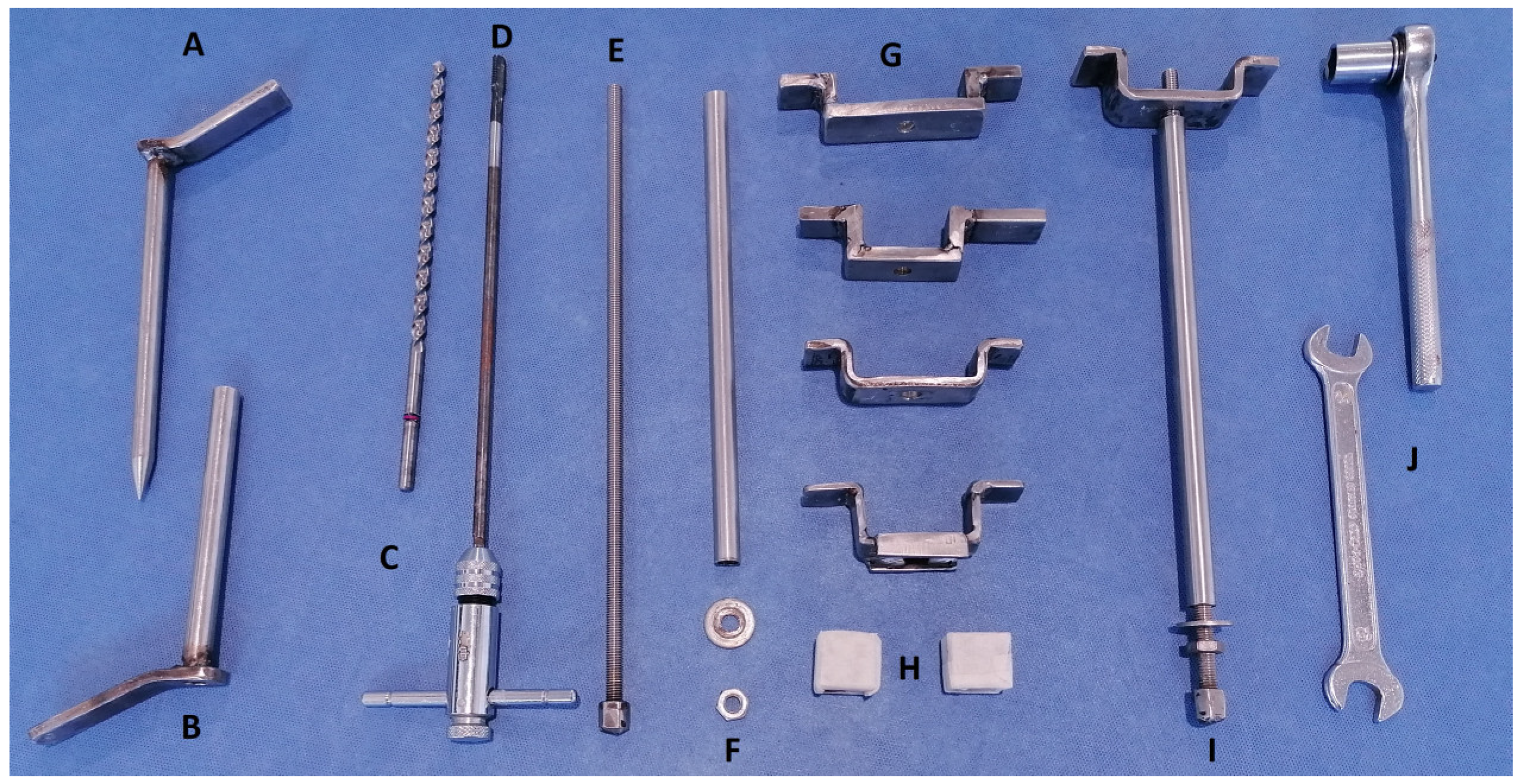 Animals 14 01439 g001