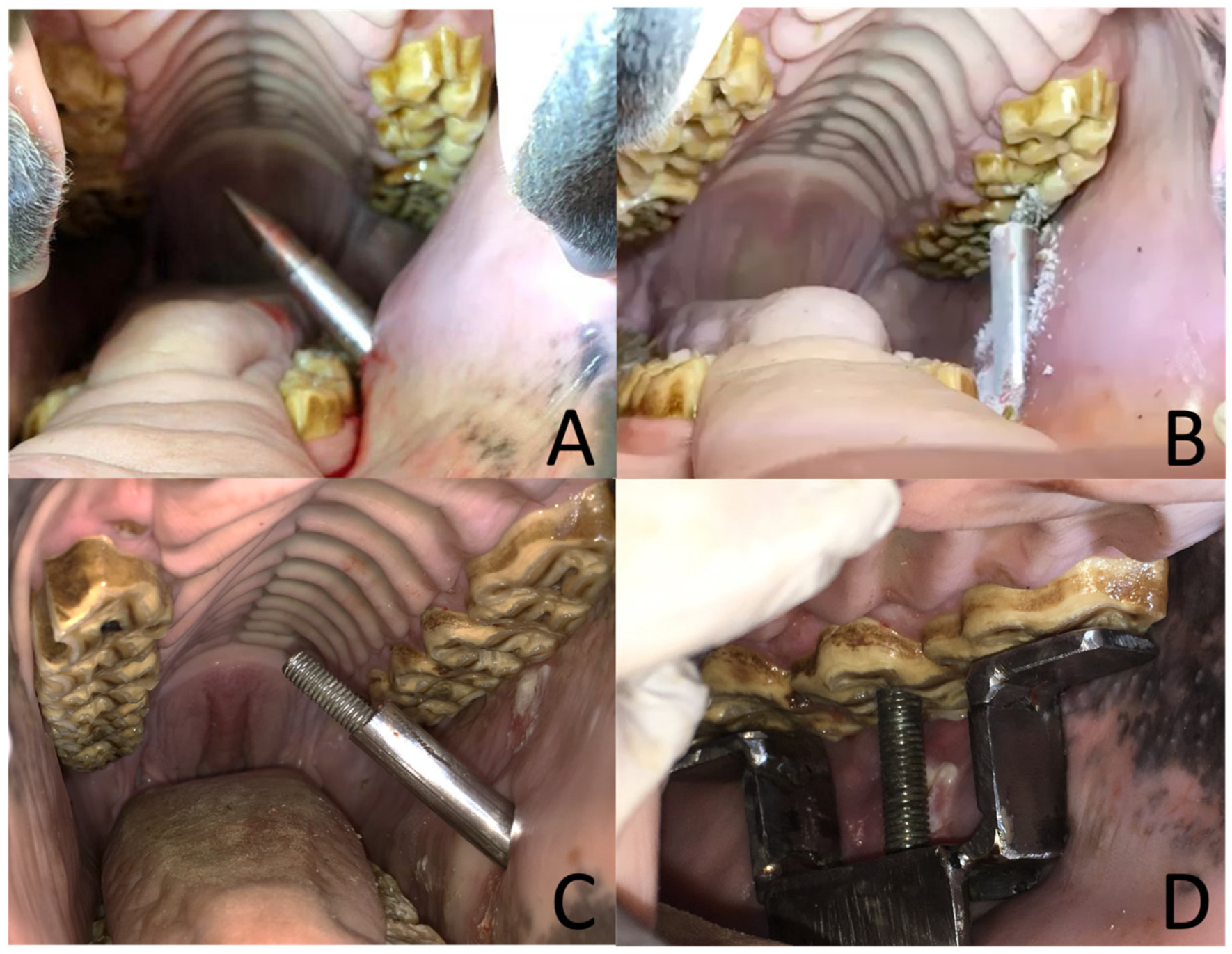 Animals 14 01439 g003