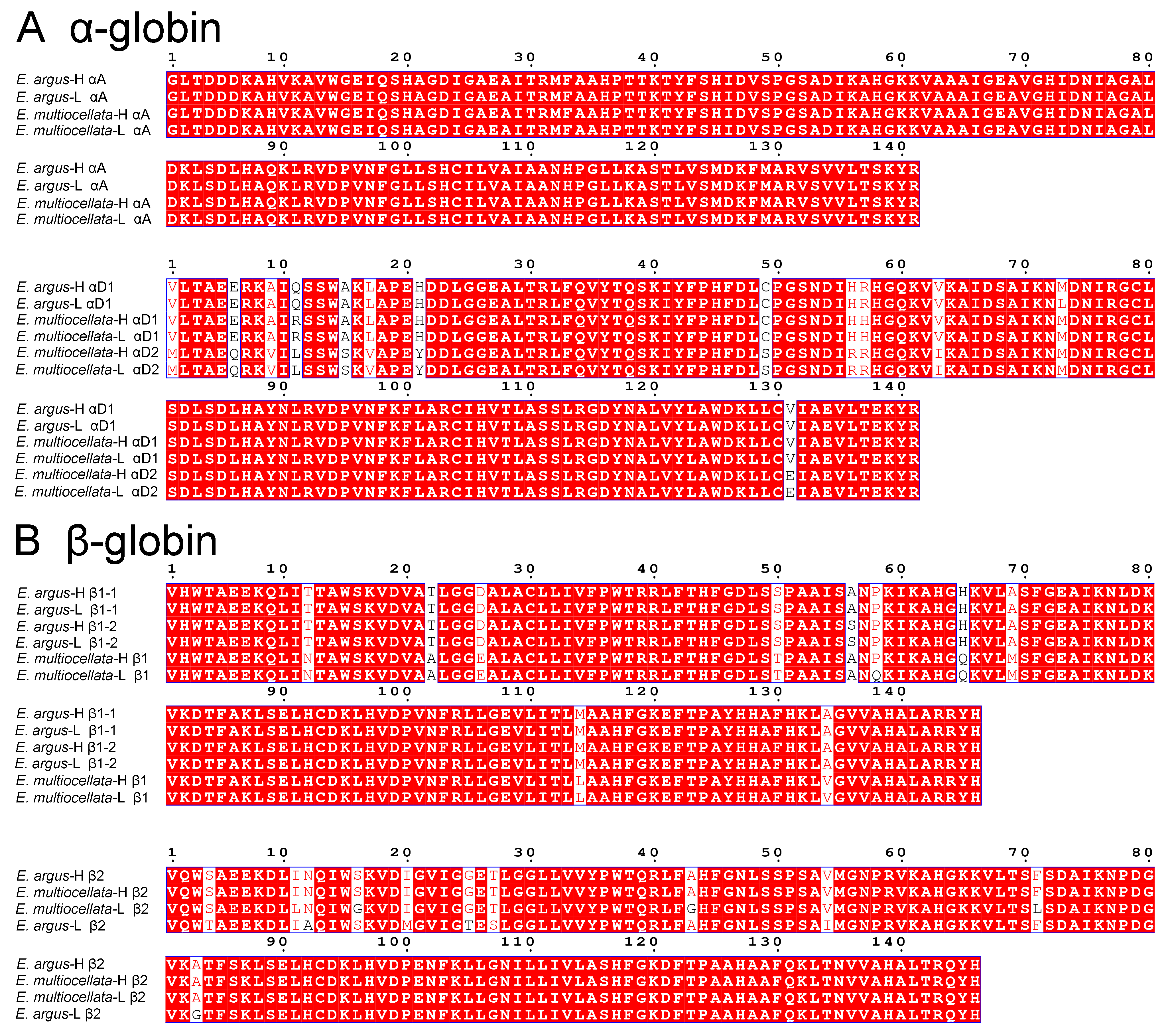 Animals 14 01440 g001 Animals 14 01440 g001