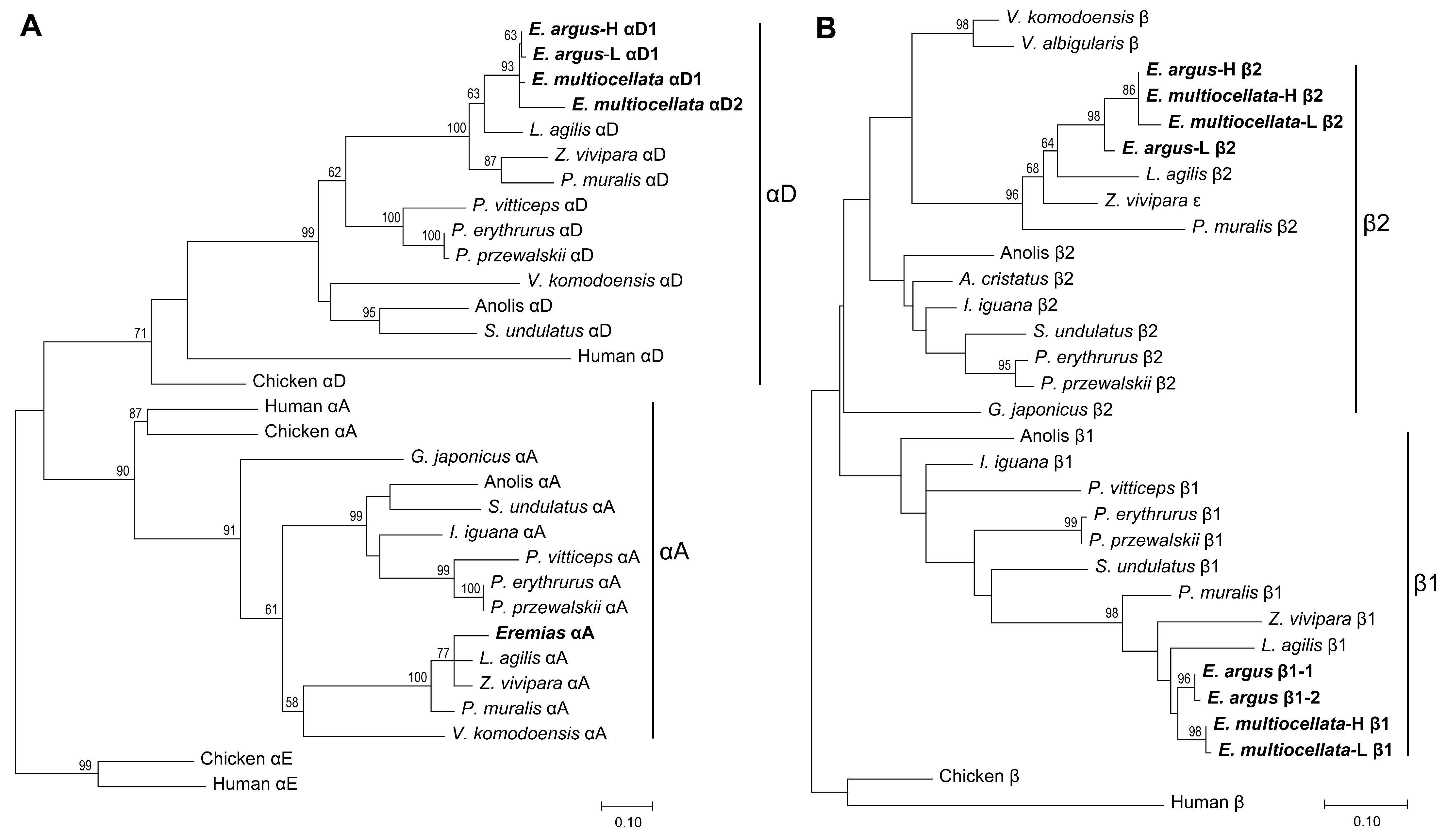 Animals 14 01440 g002 Animals 14 01440 g002