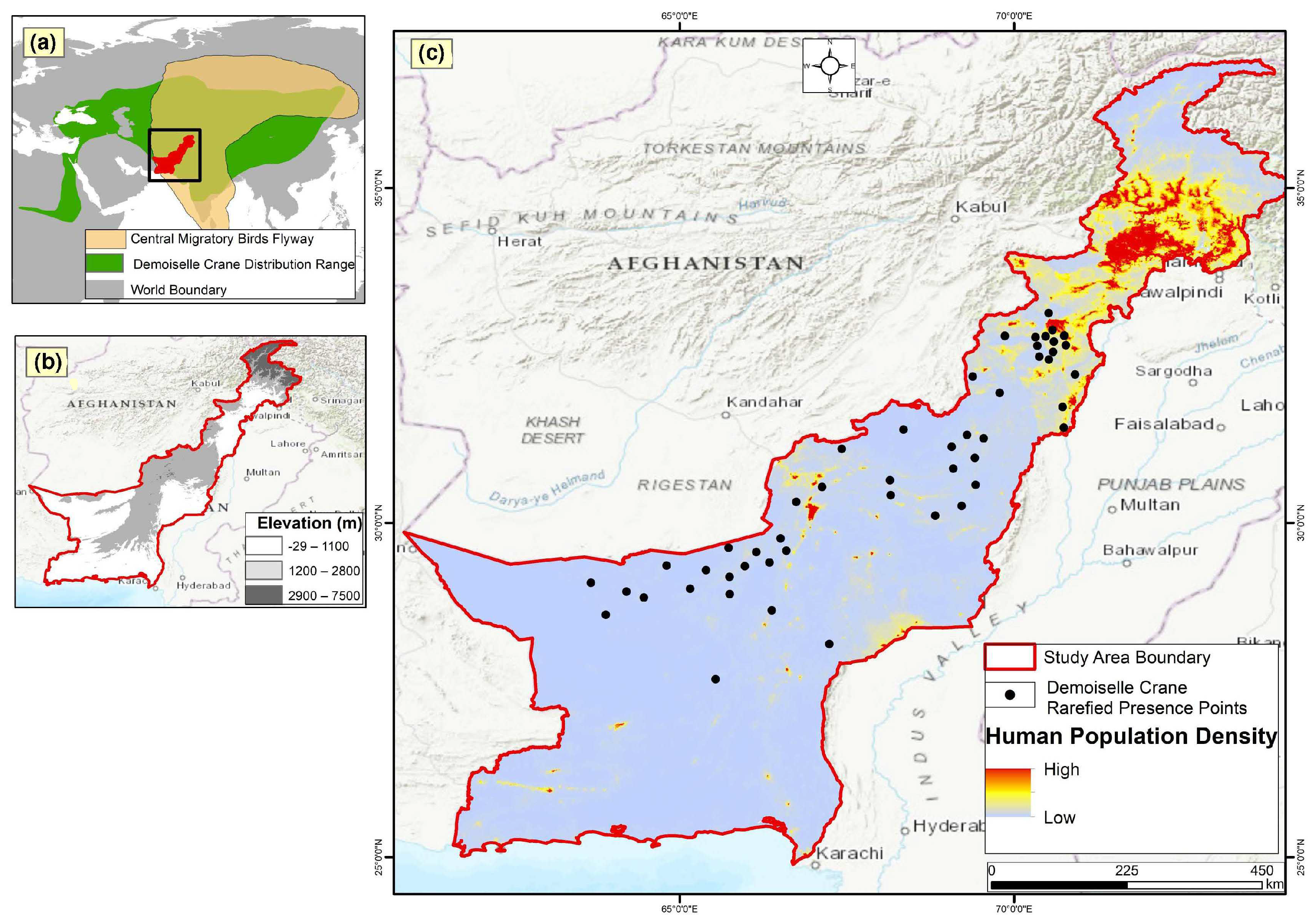 Animals 14 01453 g001