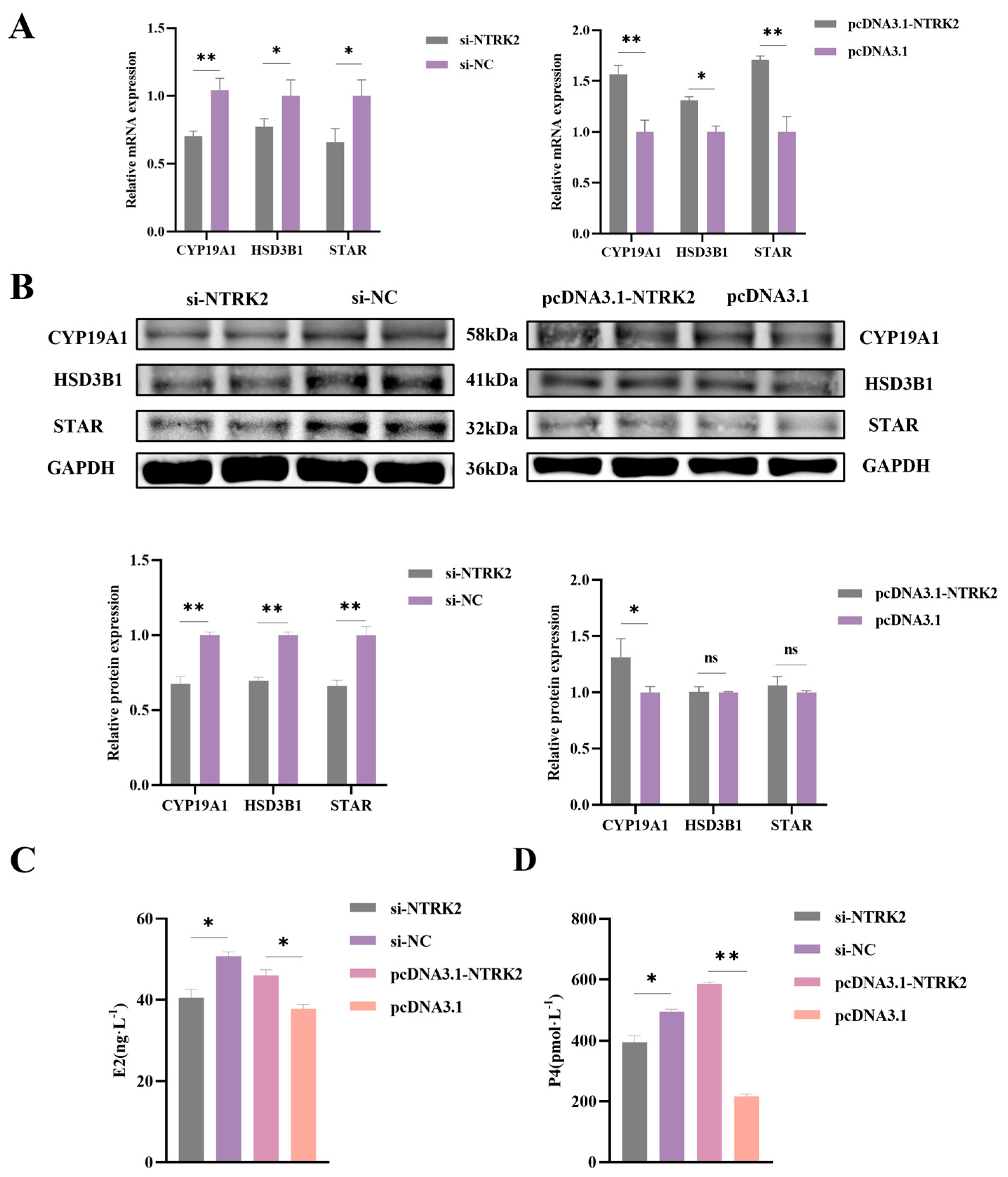 Animals 14 01465 g003