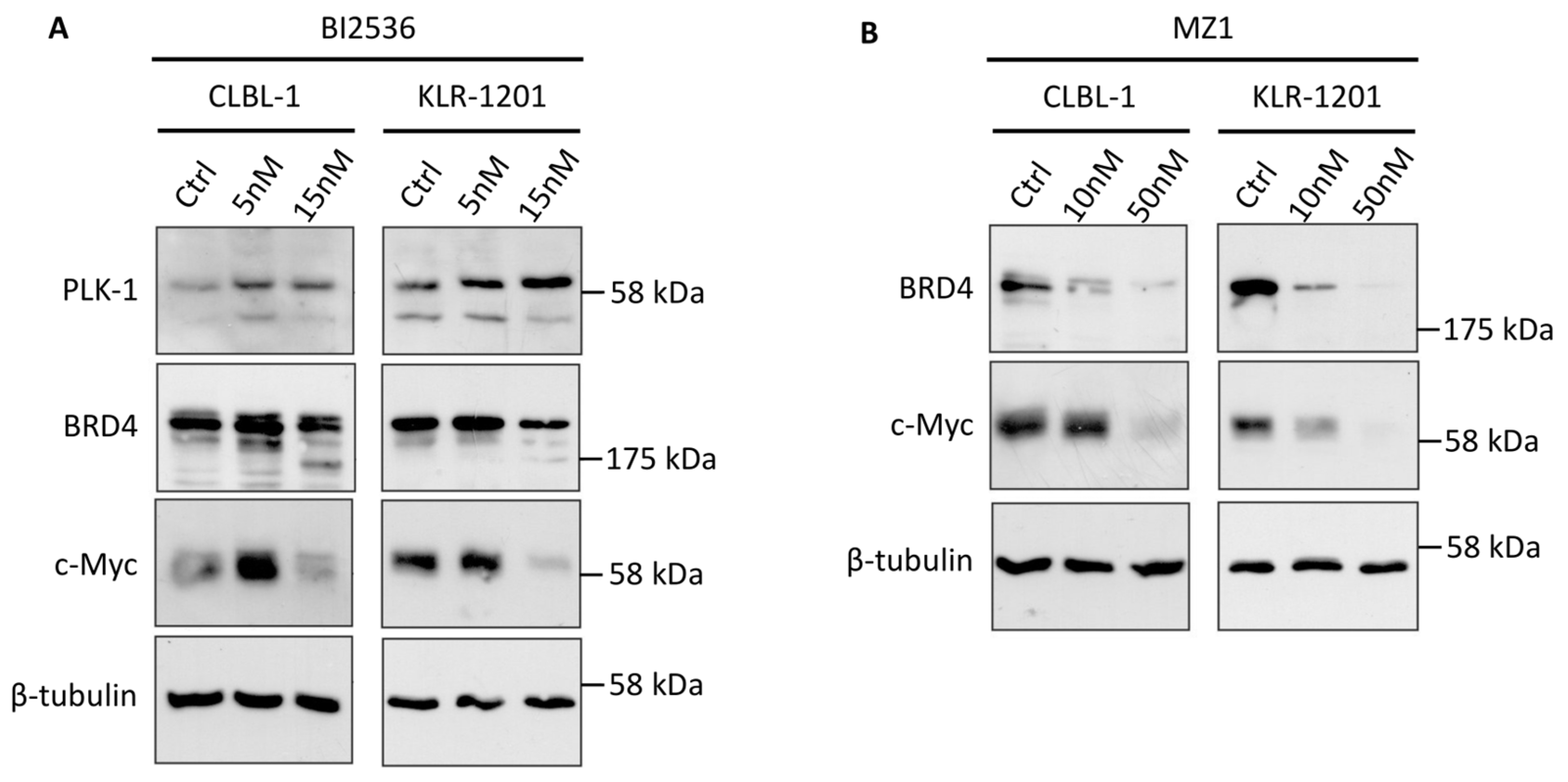 Animals 14 01466 g003