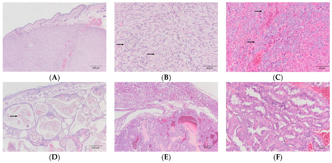 Animals 14 01469 g001 Animals 14 01469 g001