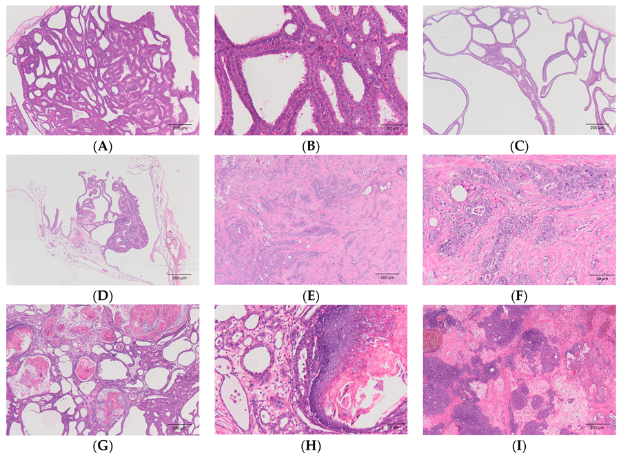 Animals 14 01469 g003a Animals 14 01469 g003a