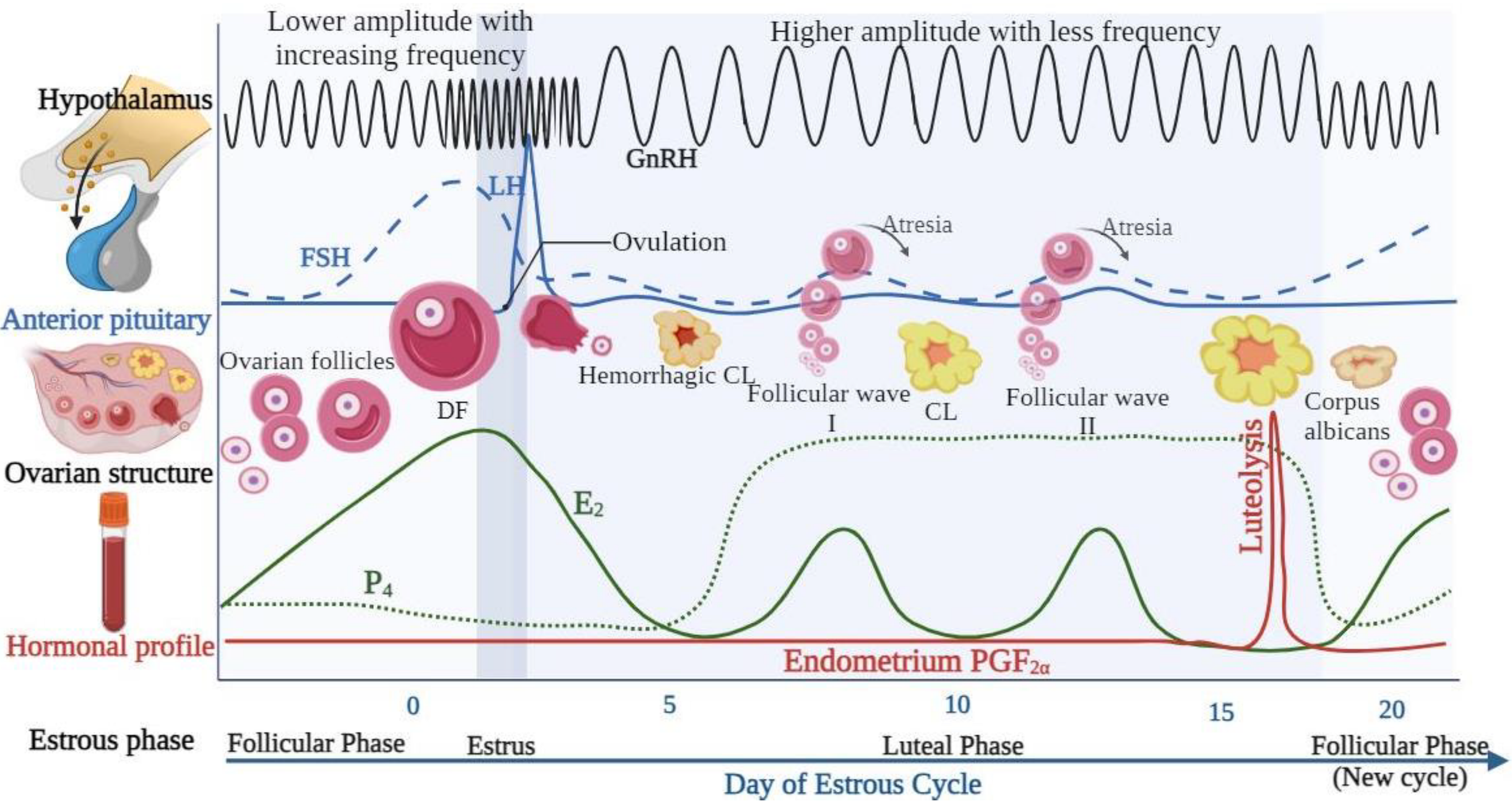 Animals 14 01473 g003